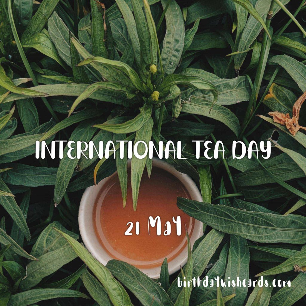 Birthday Wish Cards | 21-May International Tea Day: Birthday Wish Cards | 21-May International Tea Day: