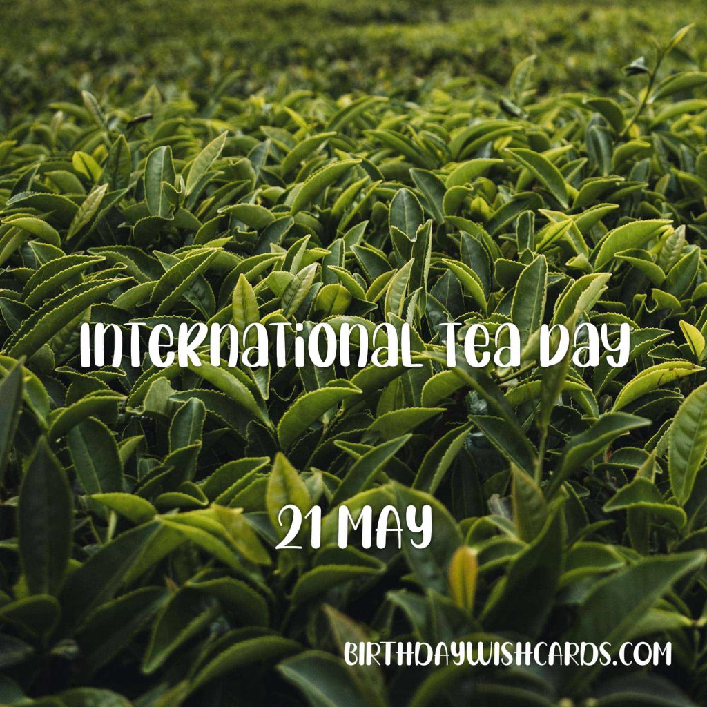 Birthday Wish Cards | 21-May International Tea Day: Birthday Wish Cards | 21-May International Tea Day: