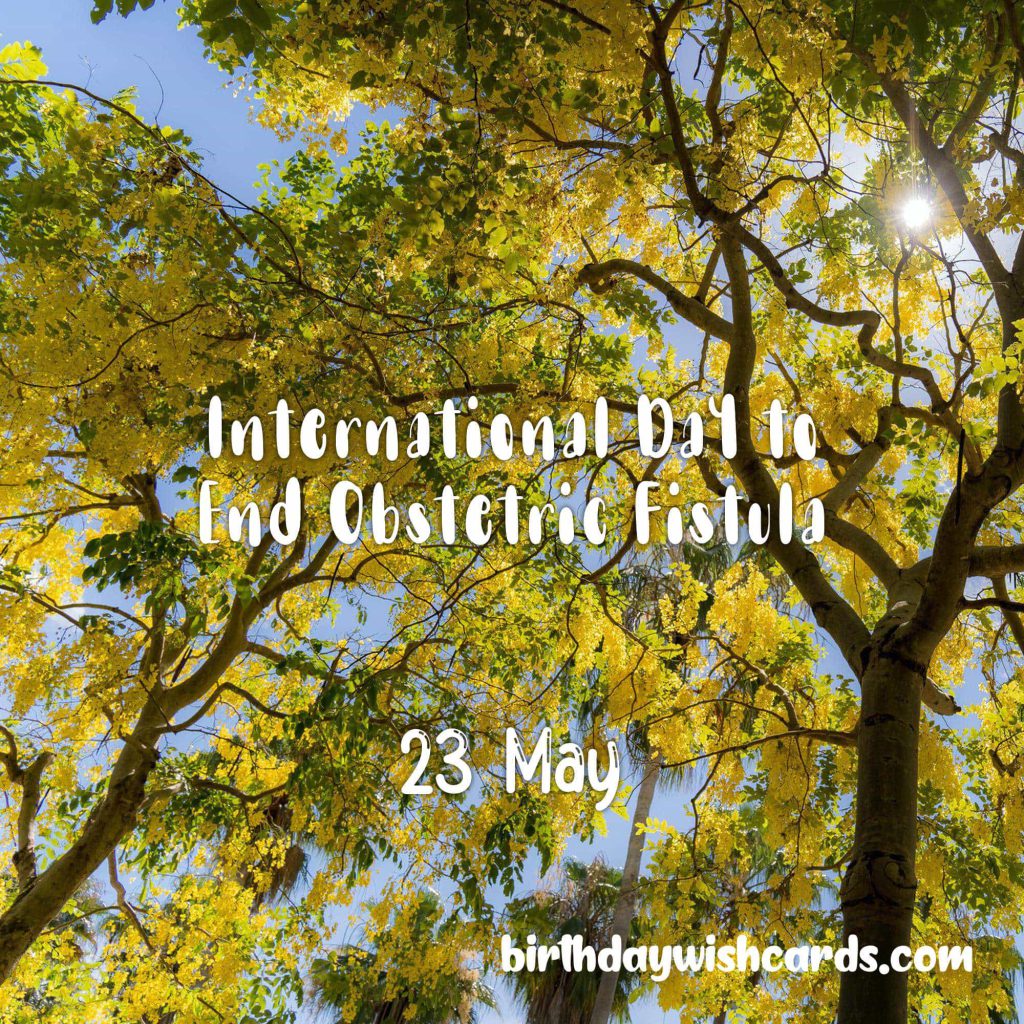 Birthday Wish Cards | 23-May International Day to End Obstetric Fistula: Birthday Wish Cards | 23-May International Day to End Obstetric Fistula: