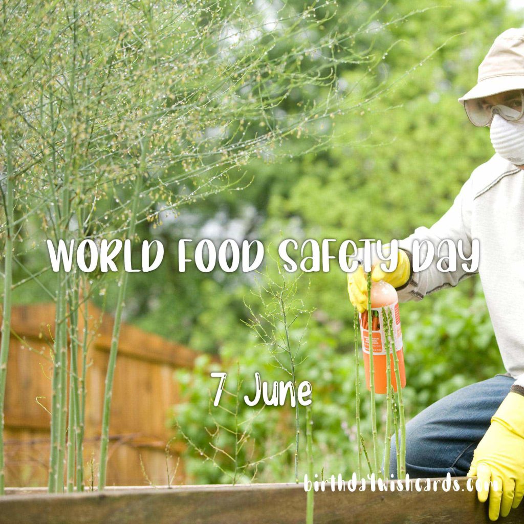 Birthday Wish Cards | 7-June World Food Safety Day: Birthday Wish Cards | 7-June World Food Safety Day:
