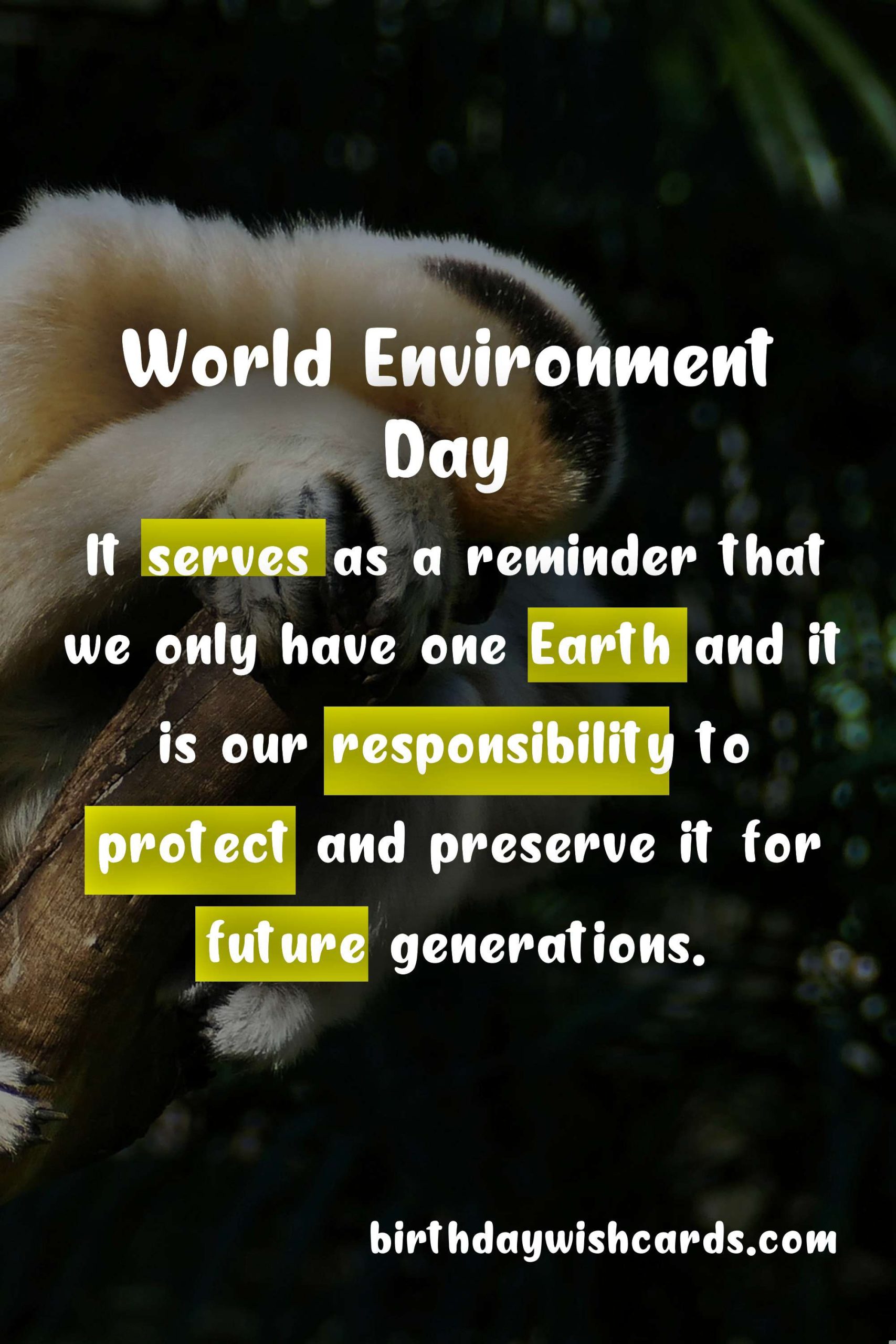World Environment Day - 5th June