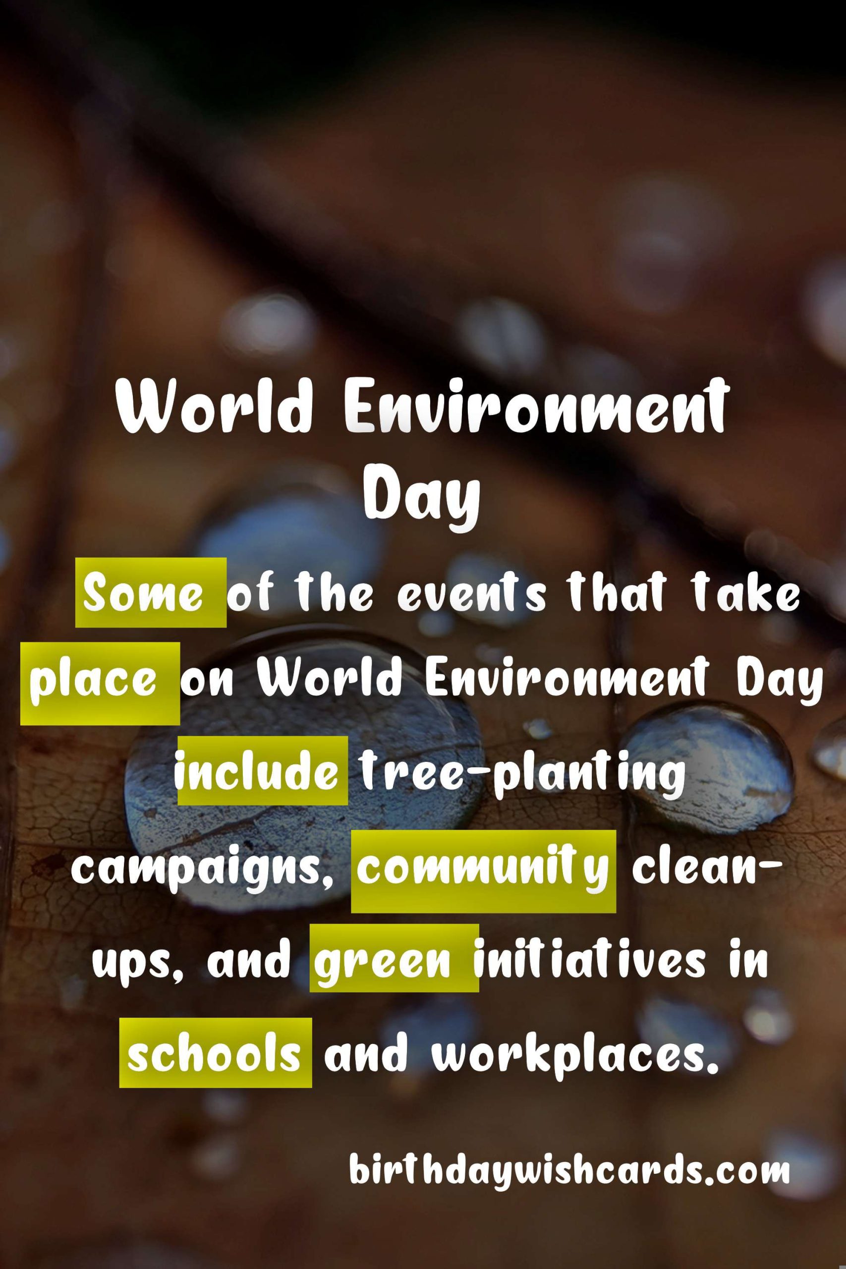 World Environment Day - 5th June