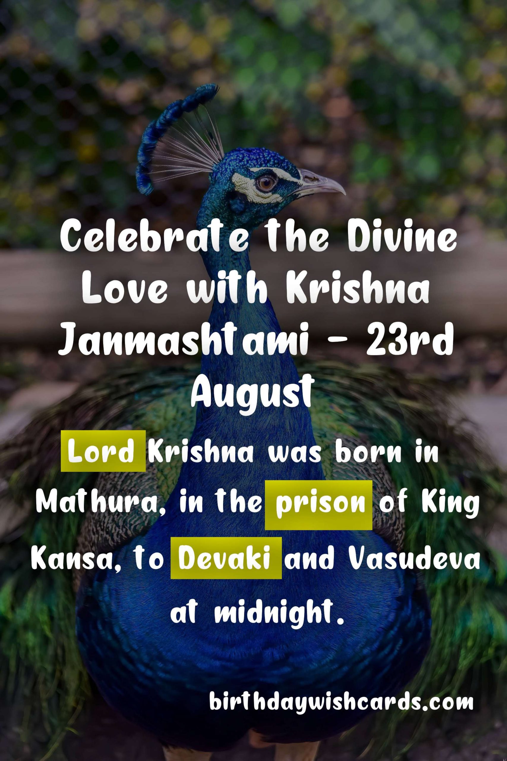 Celebrate the Divine Love with Krishna Janmashtami - 23rd August
