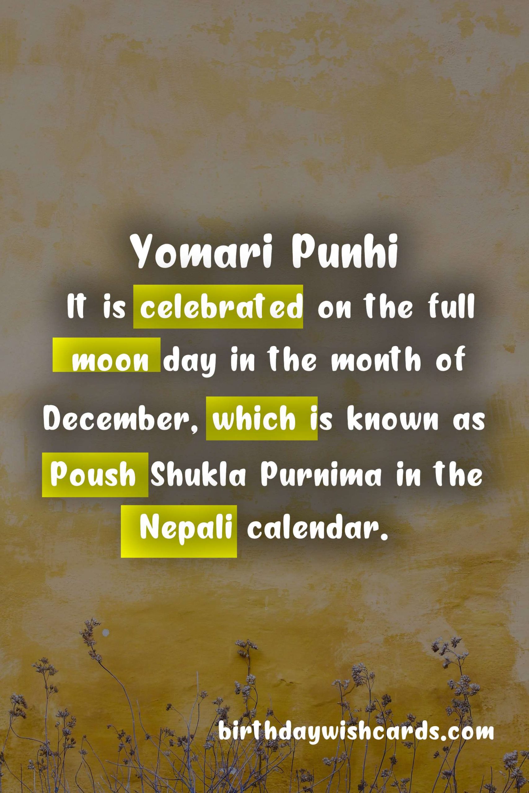 Yomari Punhi - 12th December