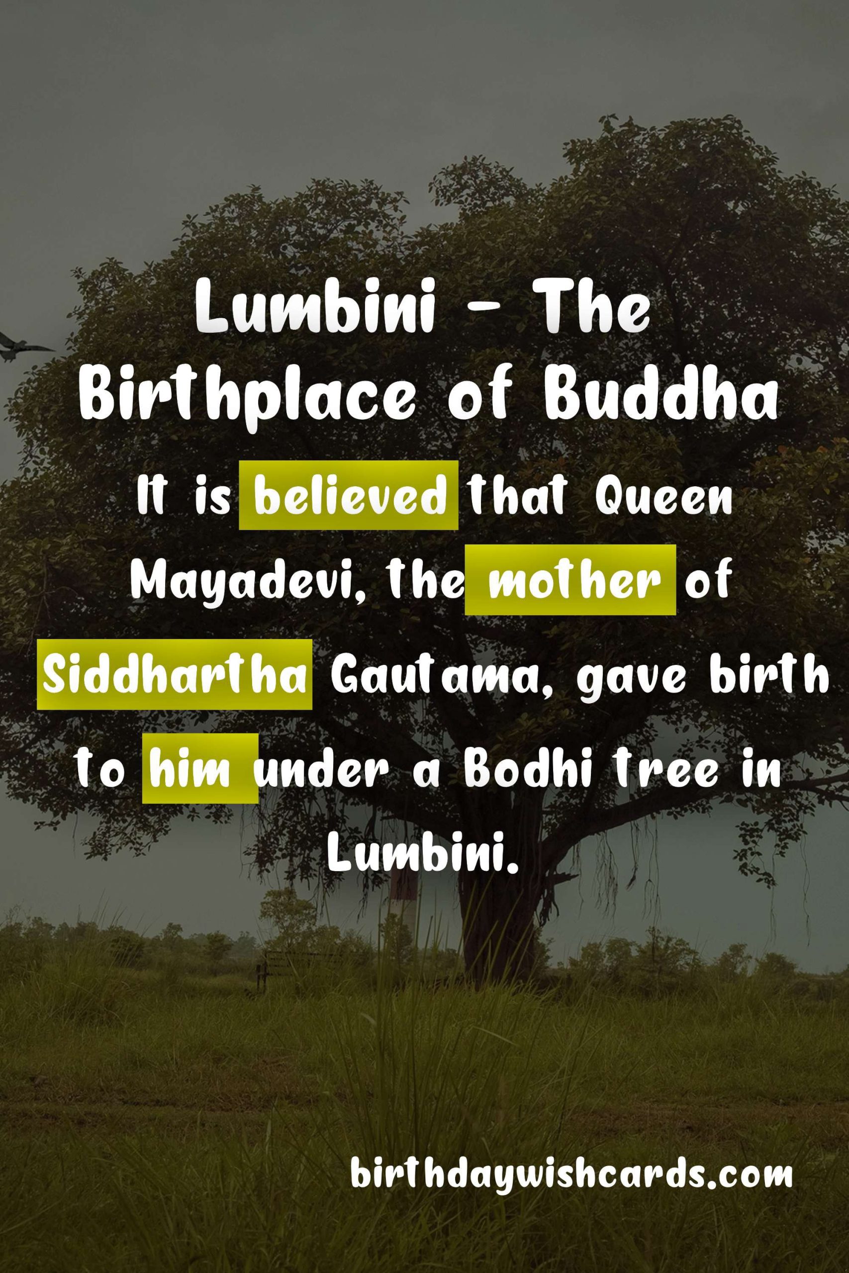 Celebrate Lumbini Day on 1st May - A Journey Through the Birthplace of Buddha
