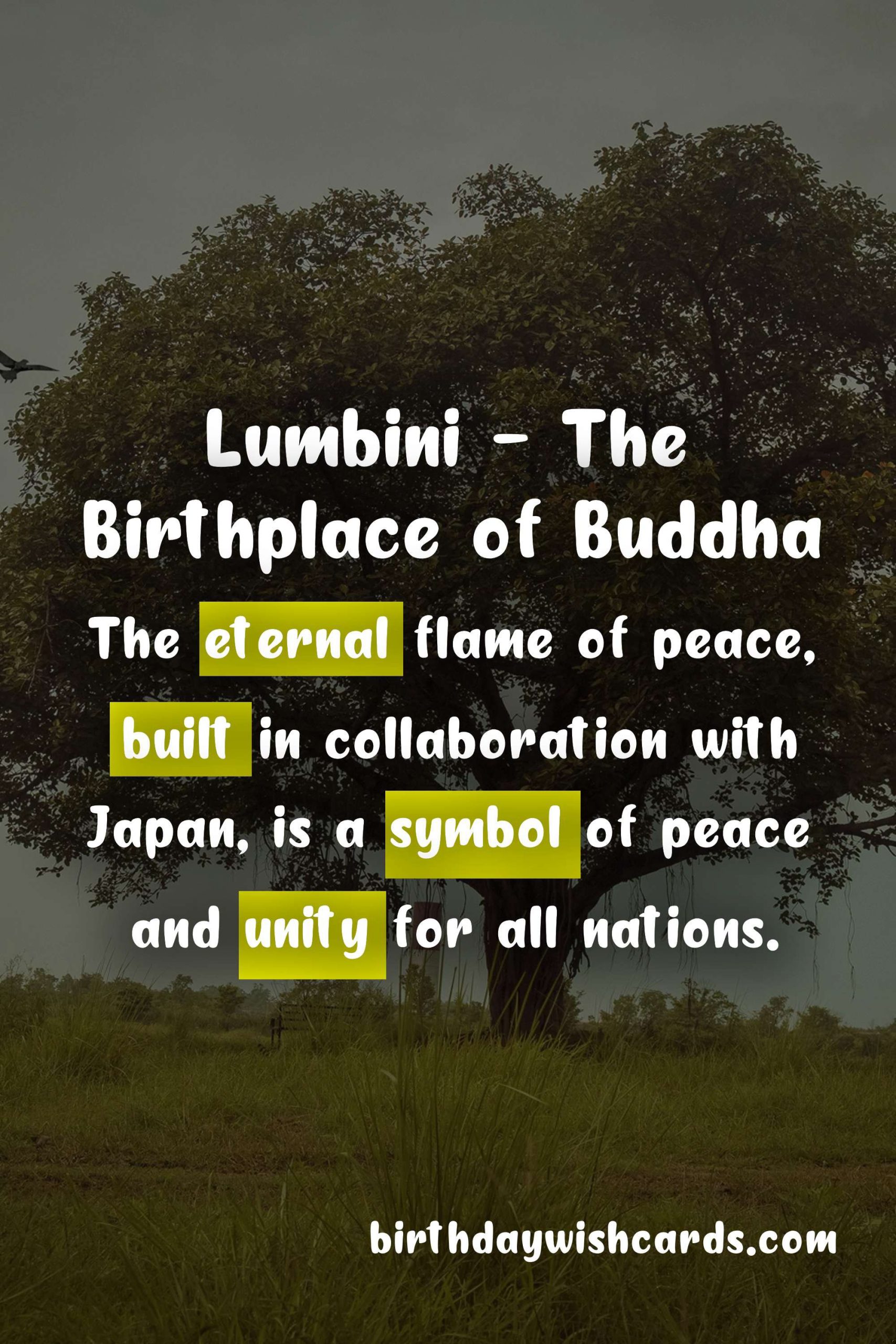 Celebrate Lumbini Day on 1st May - A Journey Through the Birthplace of Buddha