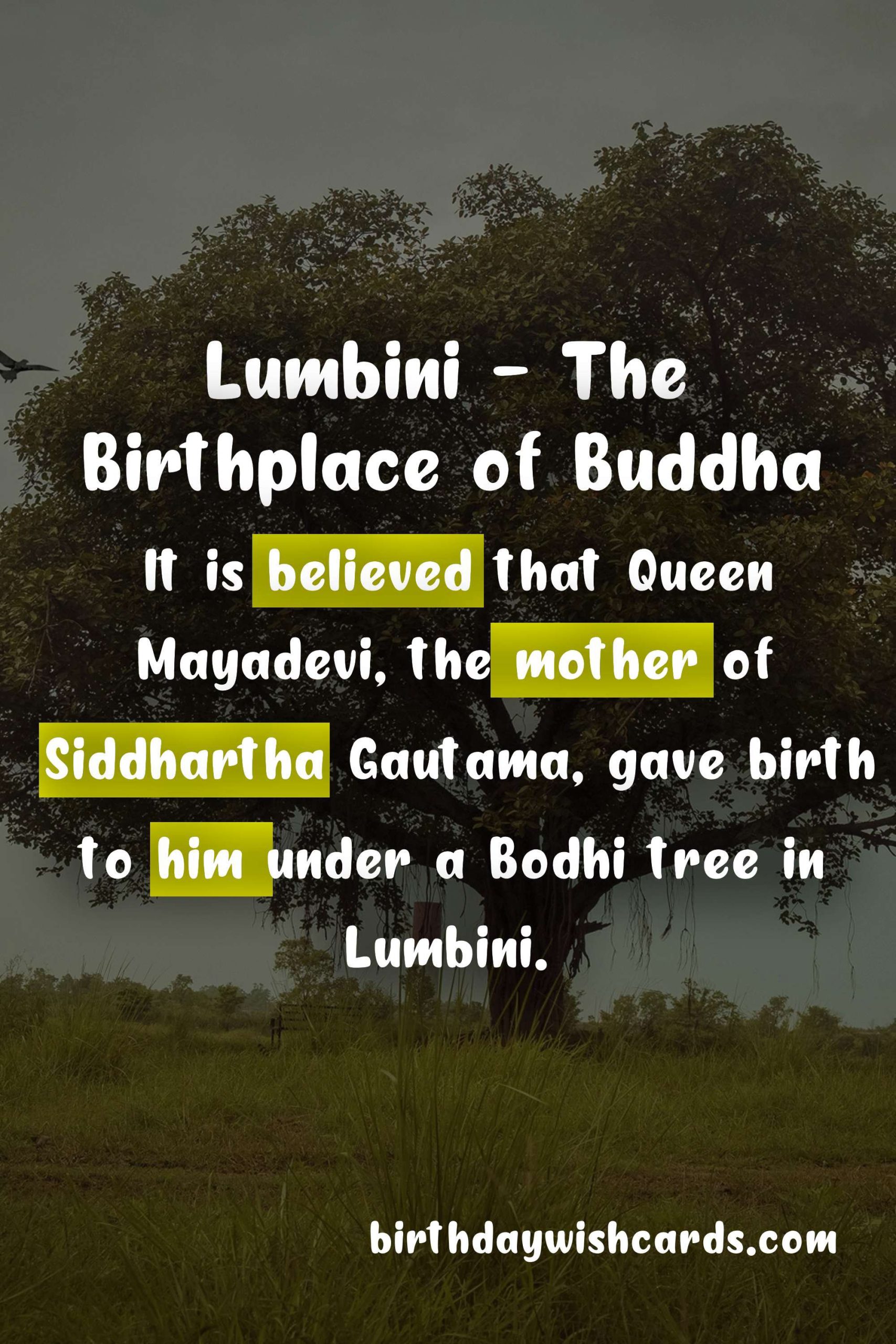 Celebrate Lumbini Day on 1st May - A Journey Through the Birthplace of Buddha