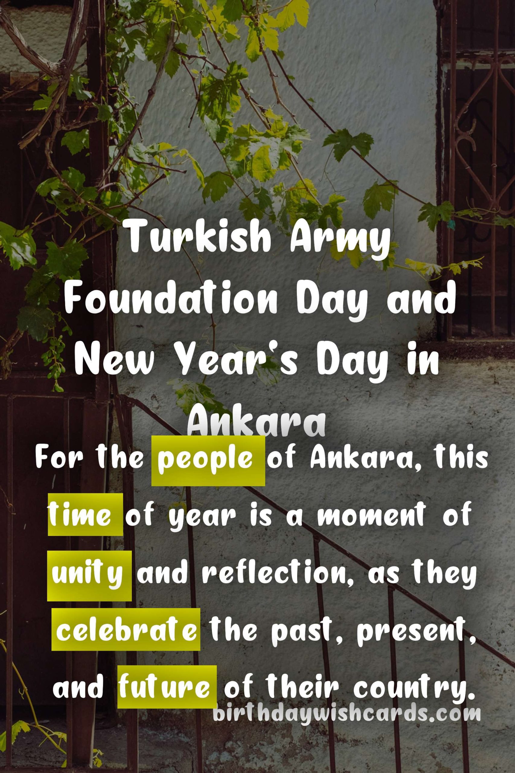 Celebrating Turkish Army Foundation Day and New Year's Day in Ankara