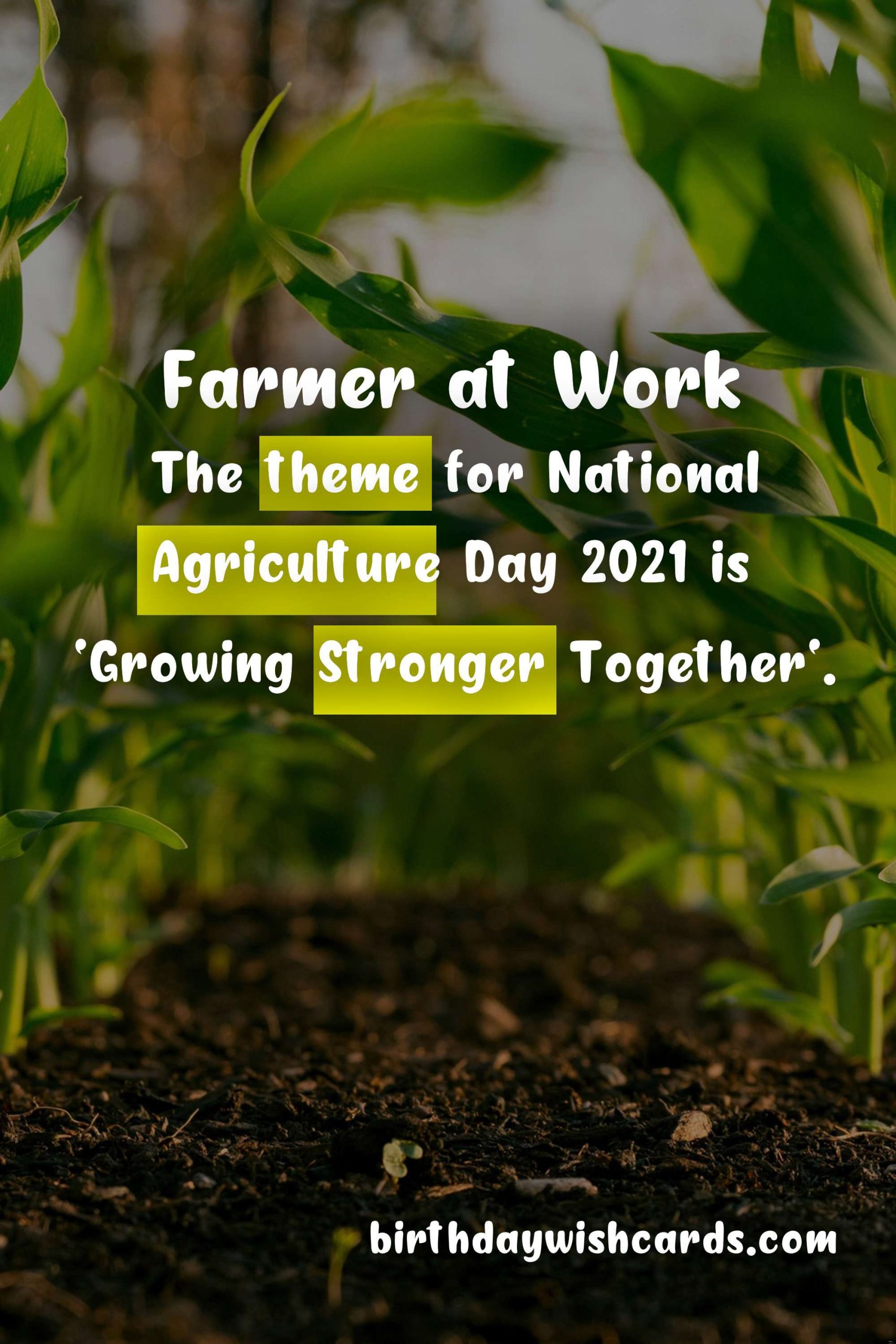 National Agriculture Day (7 June) - Celebrating the Backbone of Our Economy
