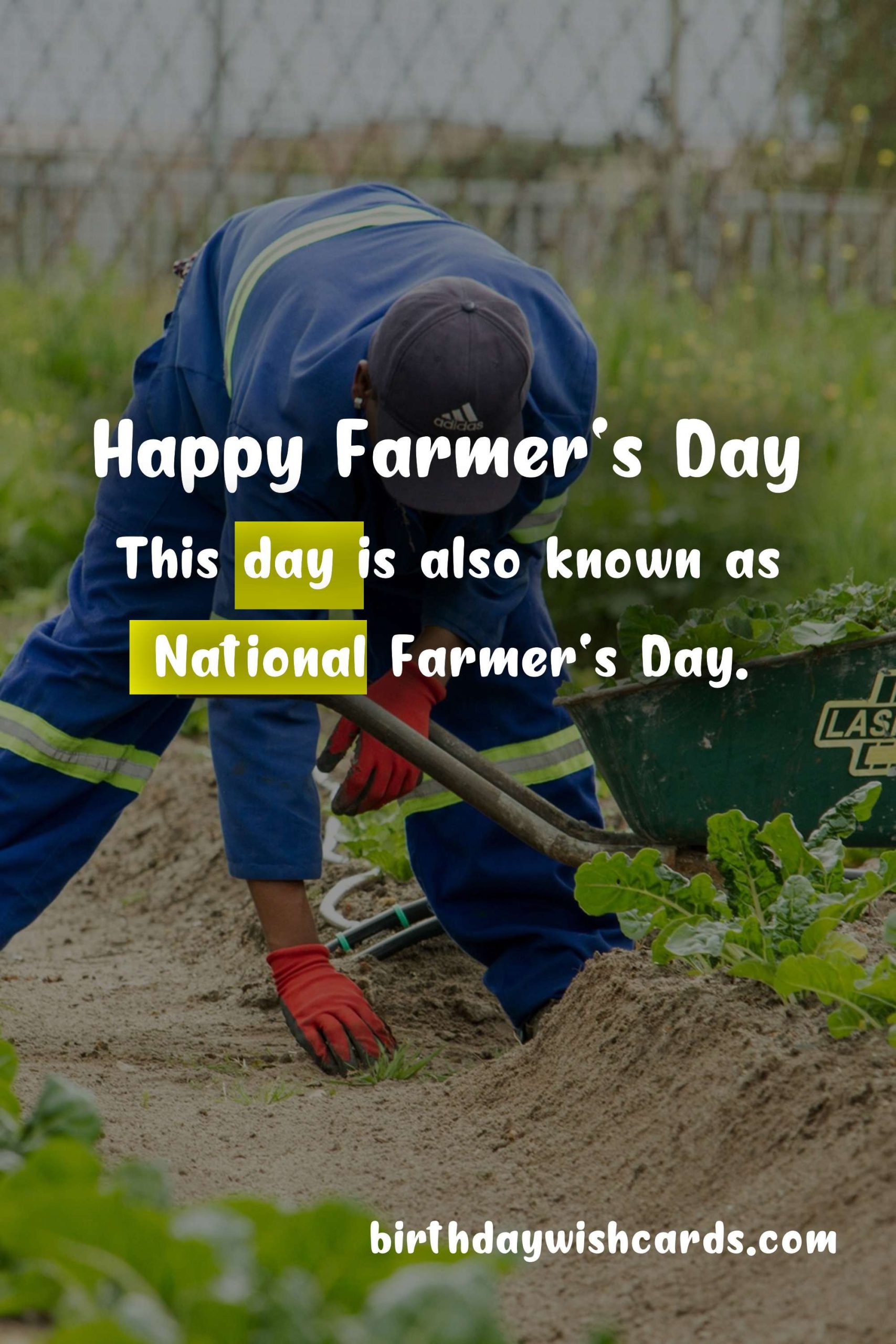 Celebrate Farmer's Day - First Friday of December