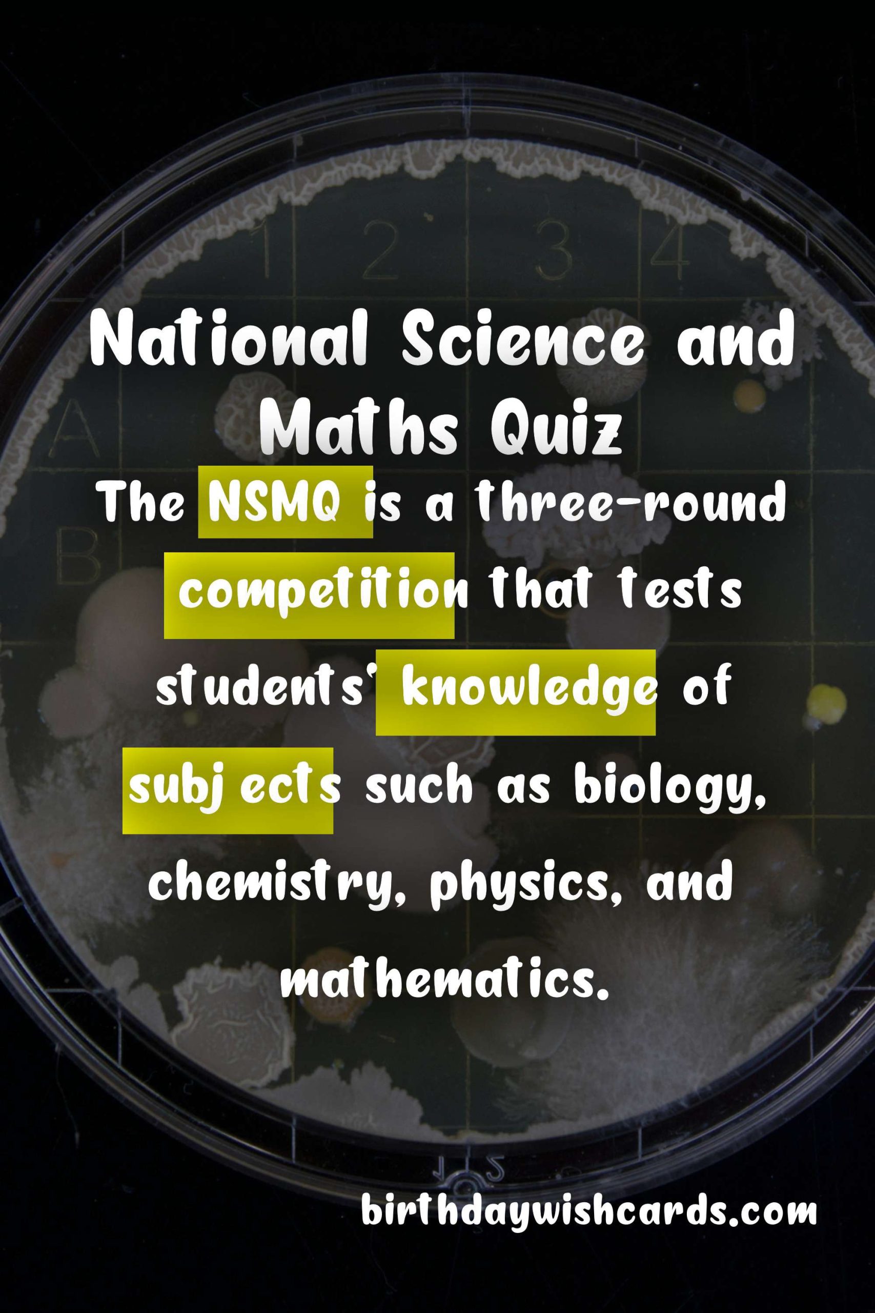 The National Science and Maths Quiz: A National Celebration of Excellence in Science and Maths