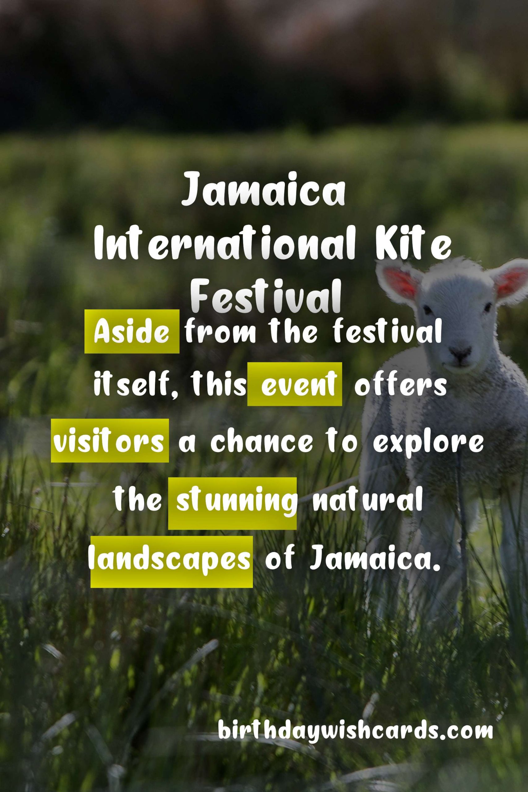 Jamaica International Kite Festival - Easter Weekend