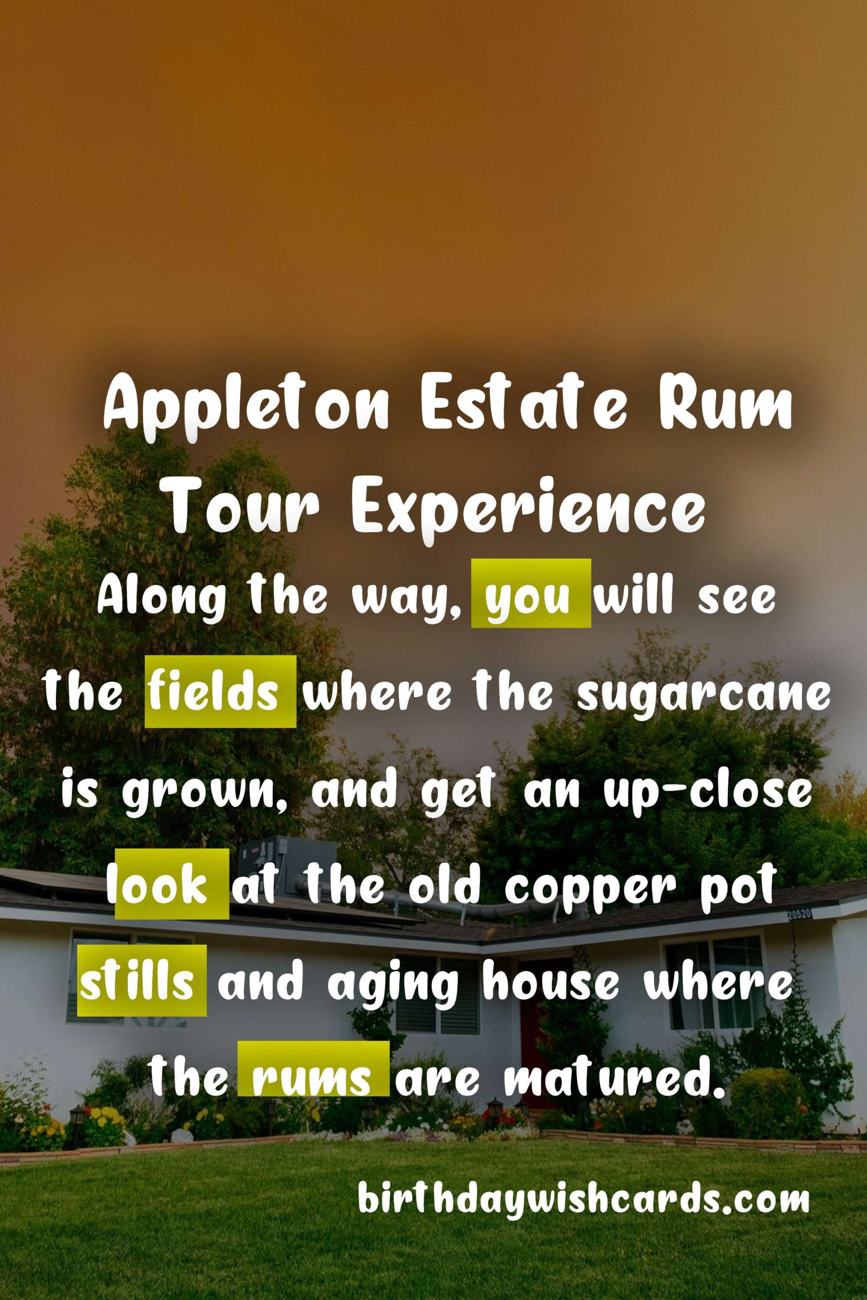 Experience the Rich History and Smooth Flavors of Appleton Estate Rum - October 19th-26th