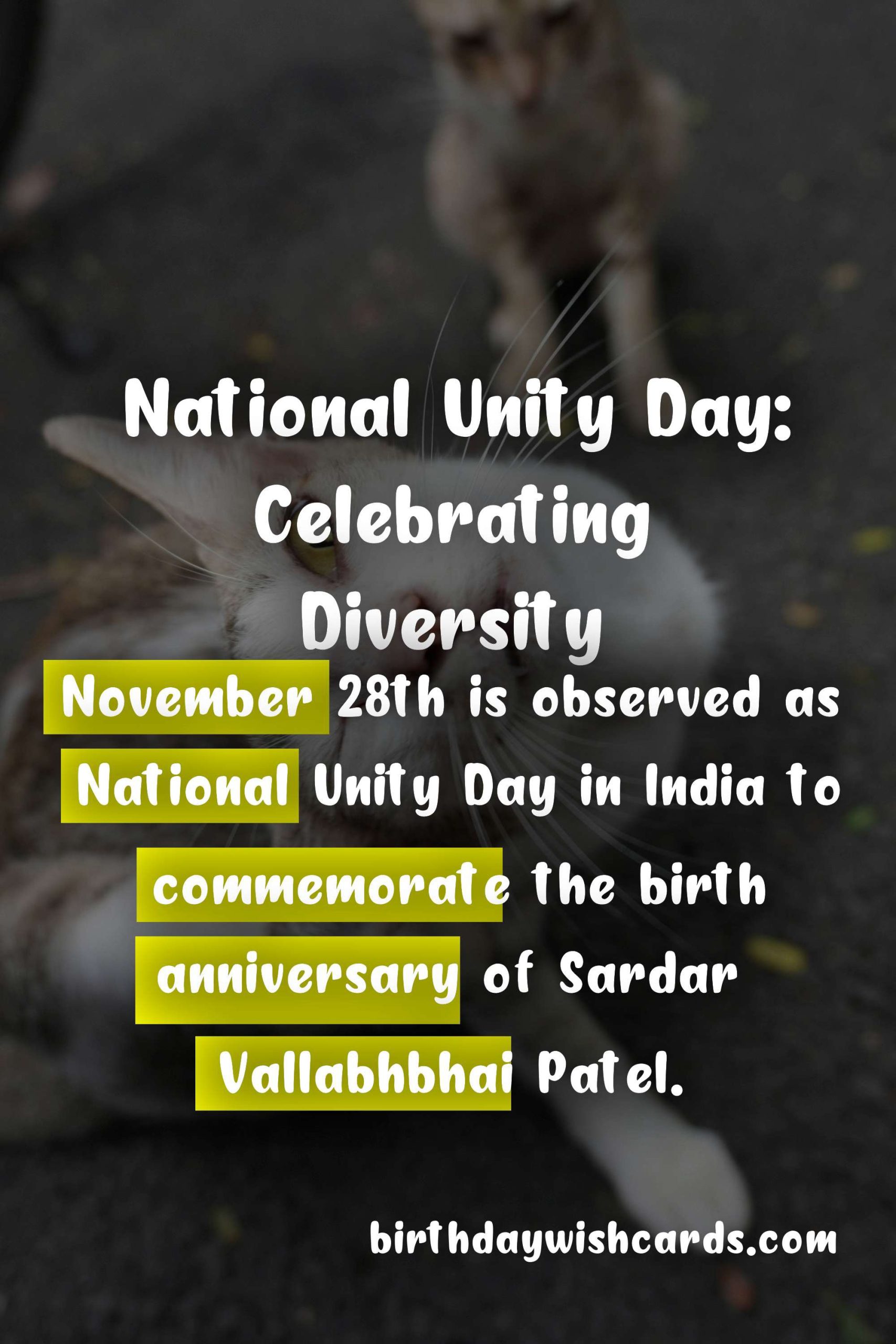 National Unity Day - November 28: Uniting a Diverse Nation