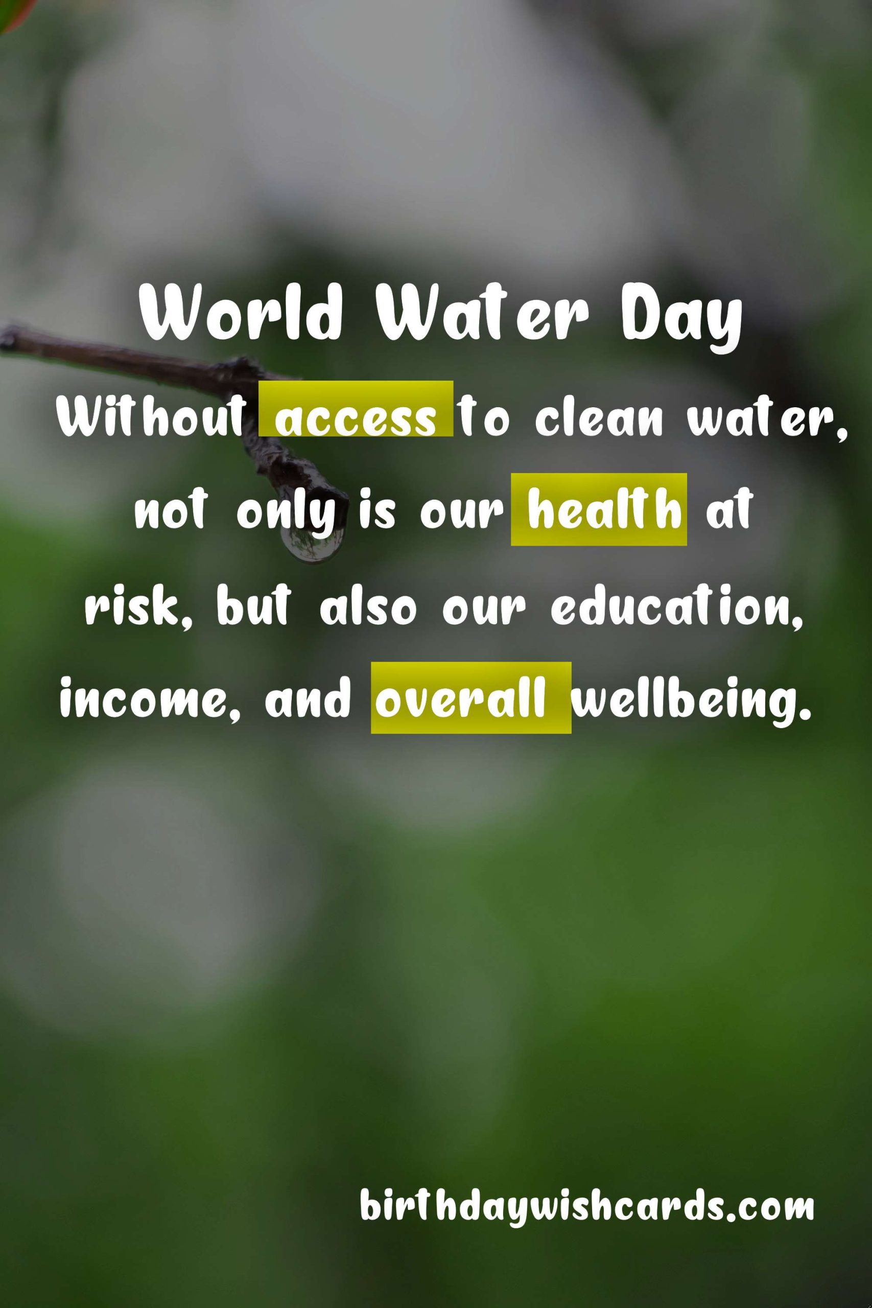 World Water Day: Celebrating Our Most Precious Resource