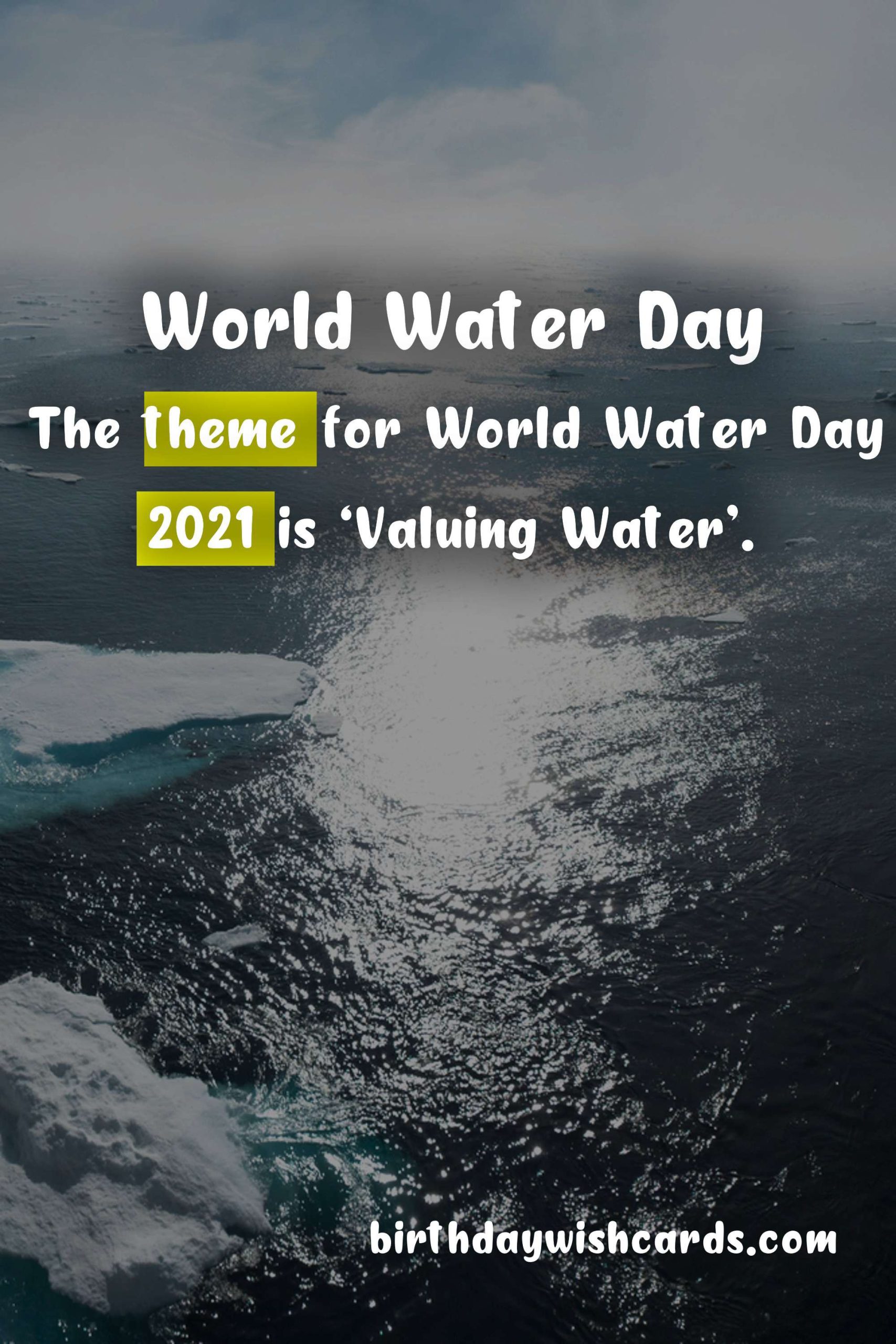World Water Day: Celebrating Our Most Precious Resource