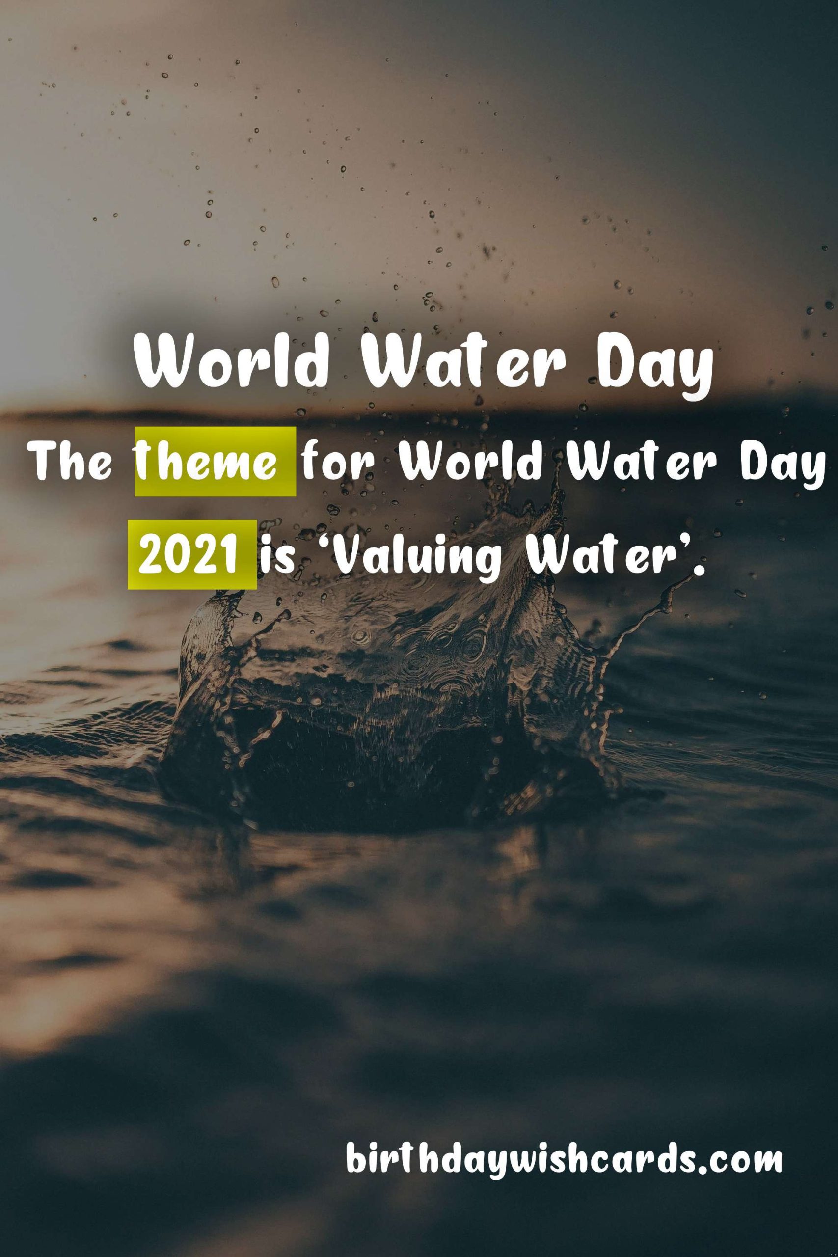 World Water Day: Celebrating Our Most Precious Resource