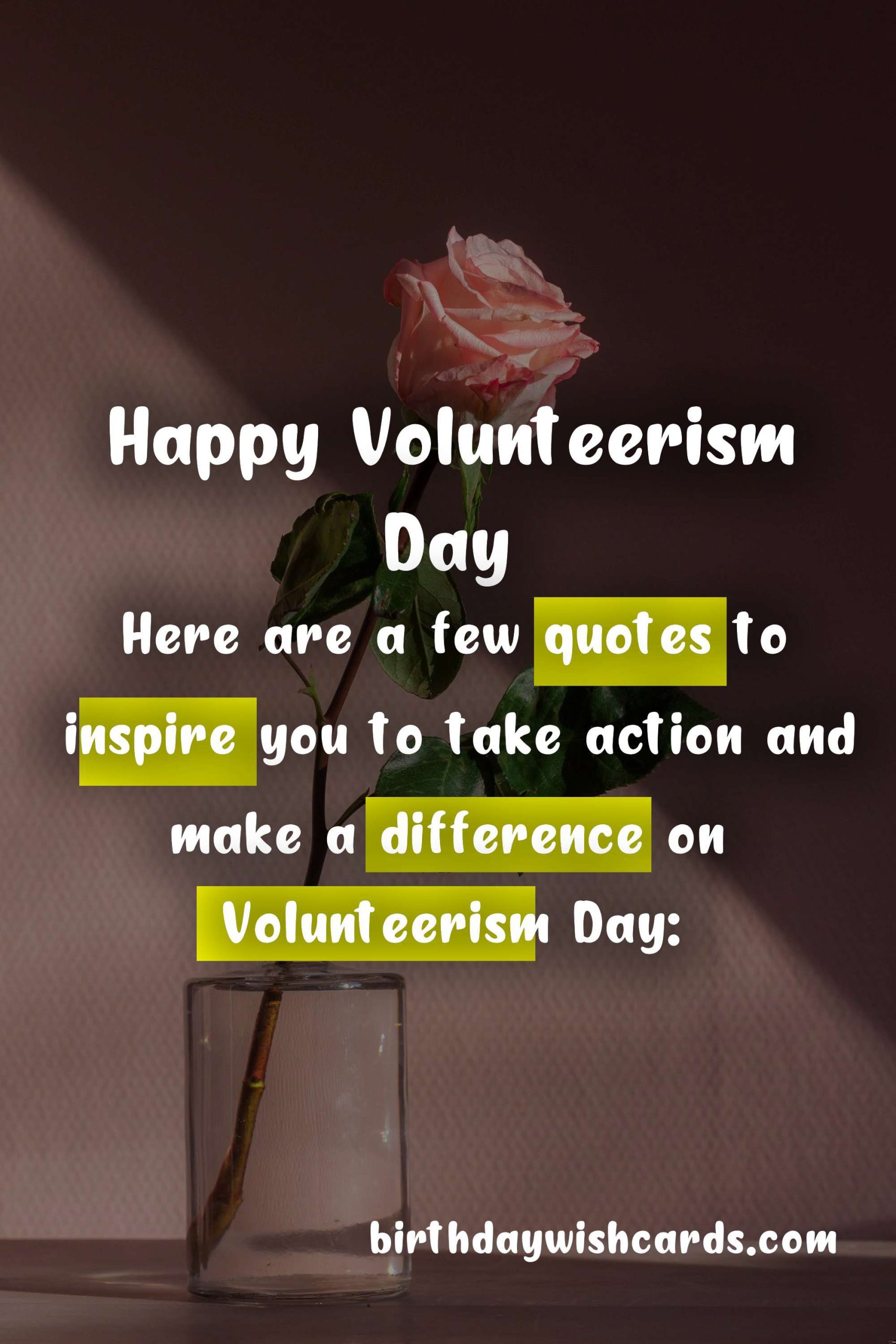 Volunteerism Day: Empowering Our Communities, One Act of Kindness at a Time