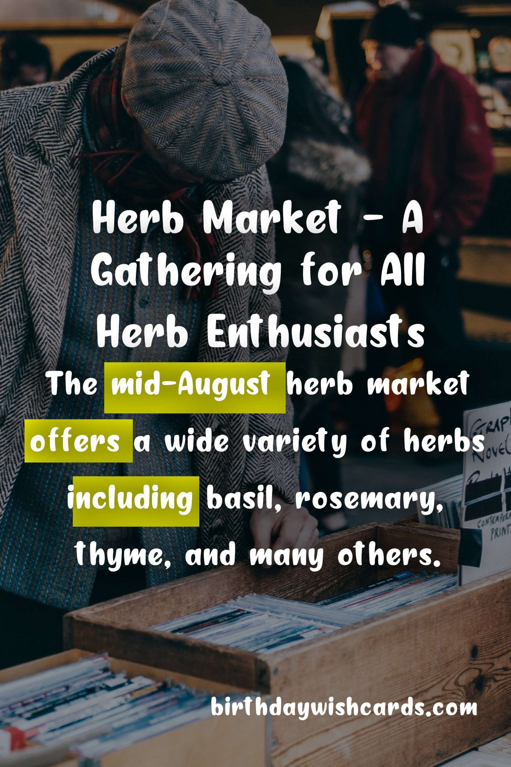 Herb Market - mid-August