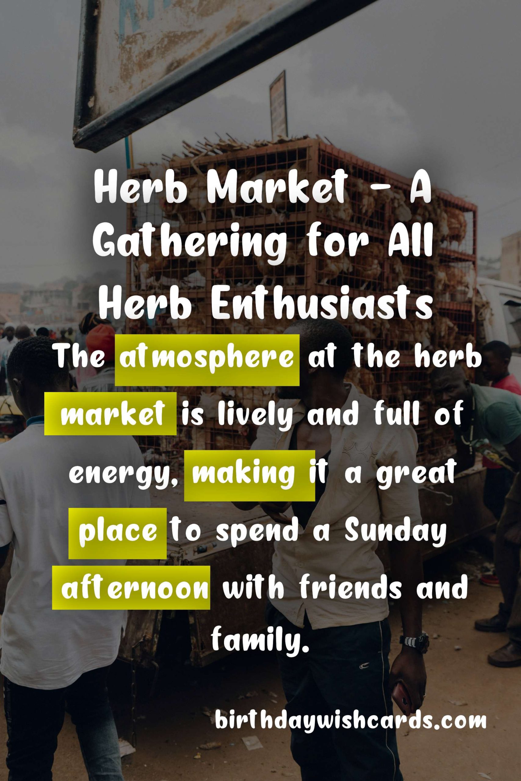 Herb Market - mid-August