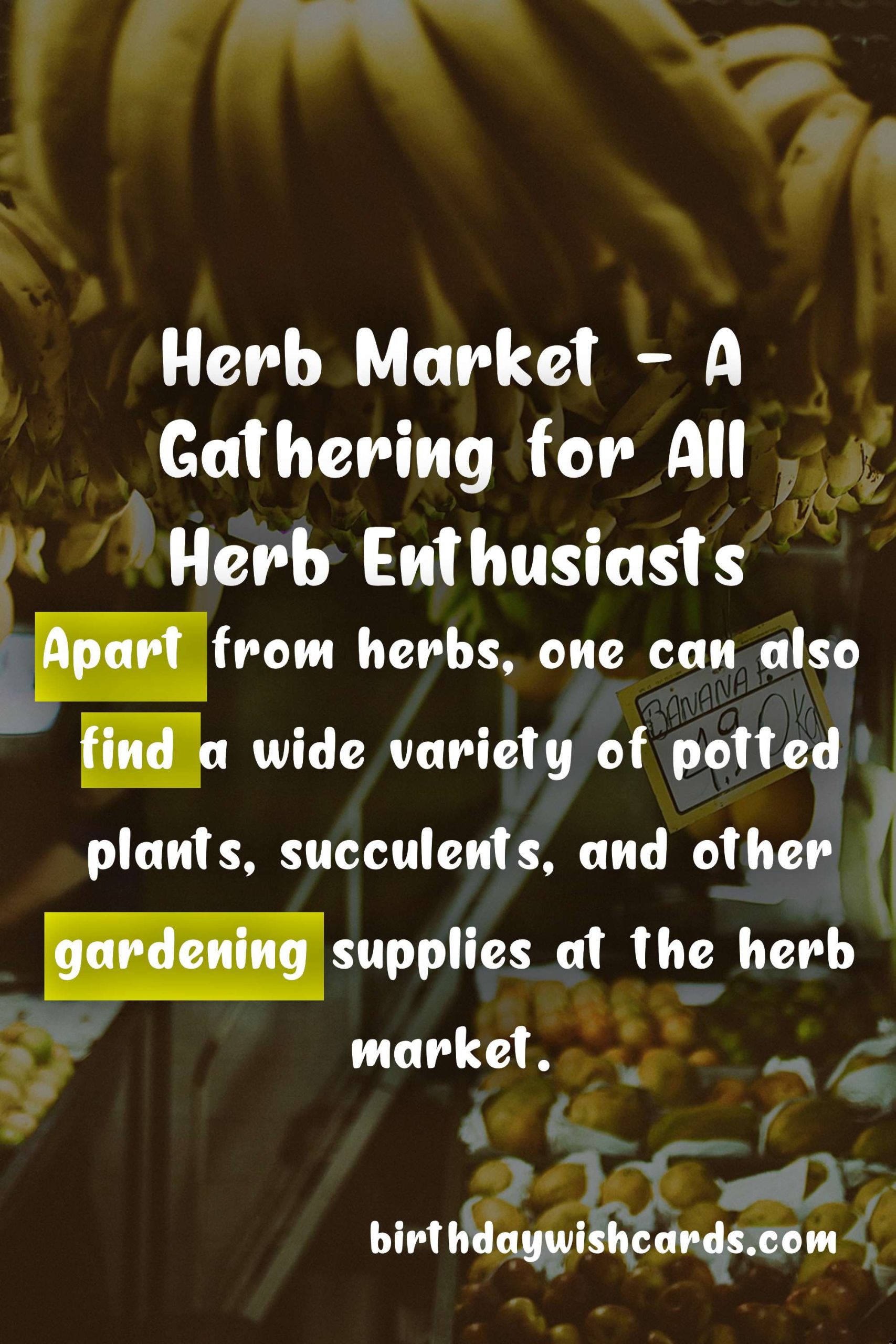 Herb Market - mid-August