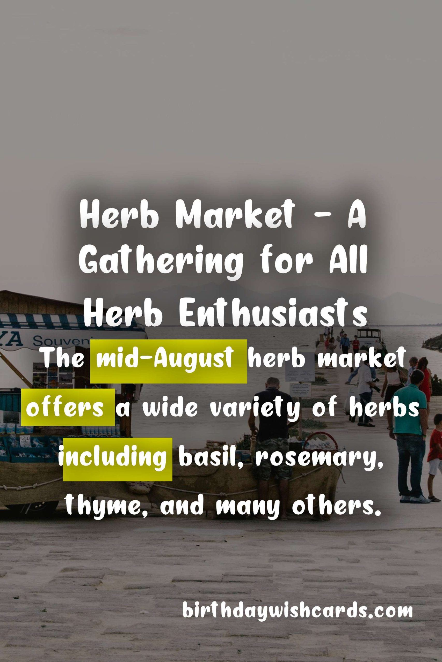 Herb Market - mid-August