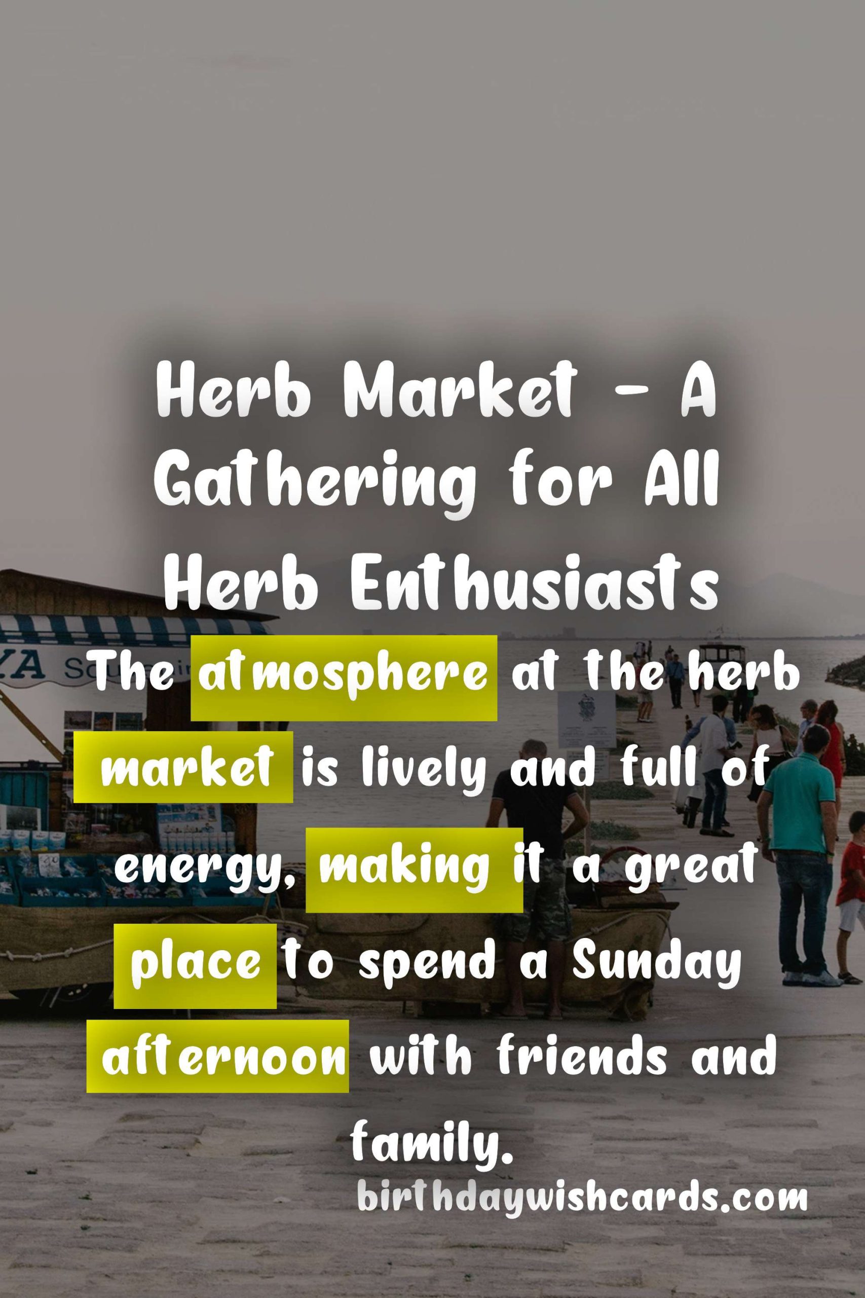 Herb Market - mid-August