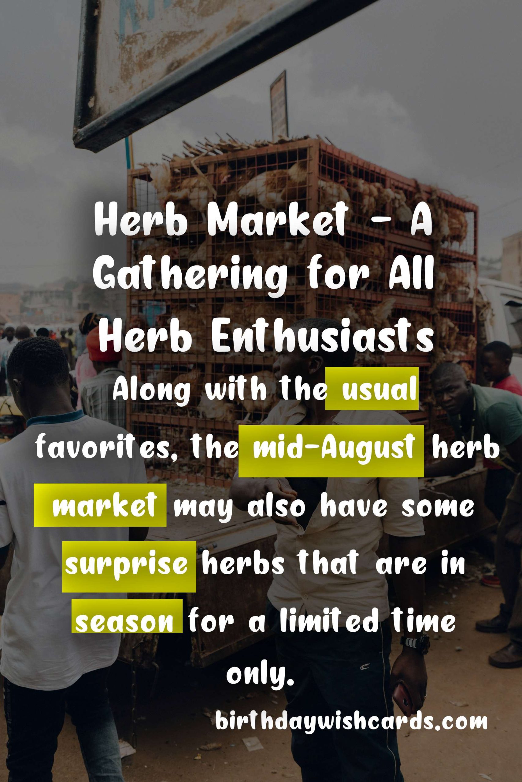 Herb Market - mid-August