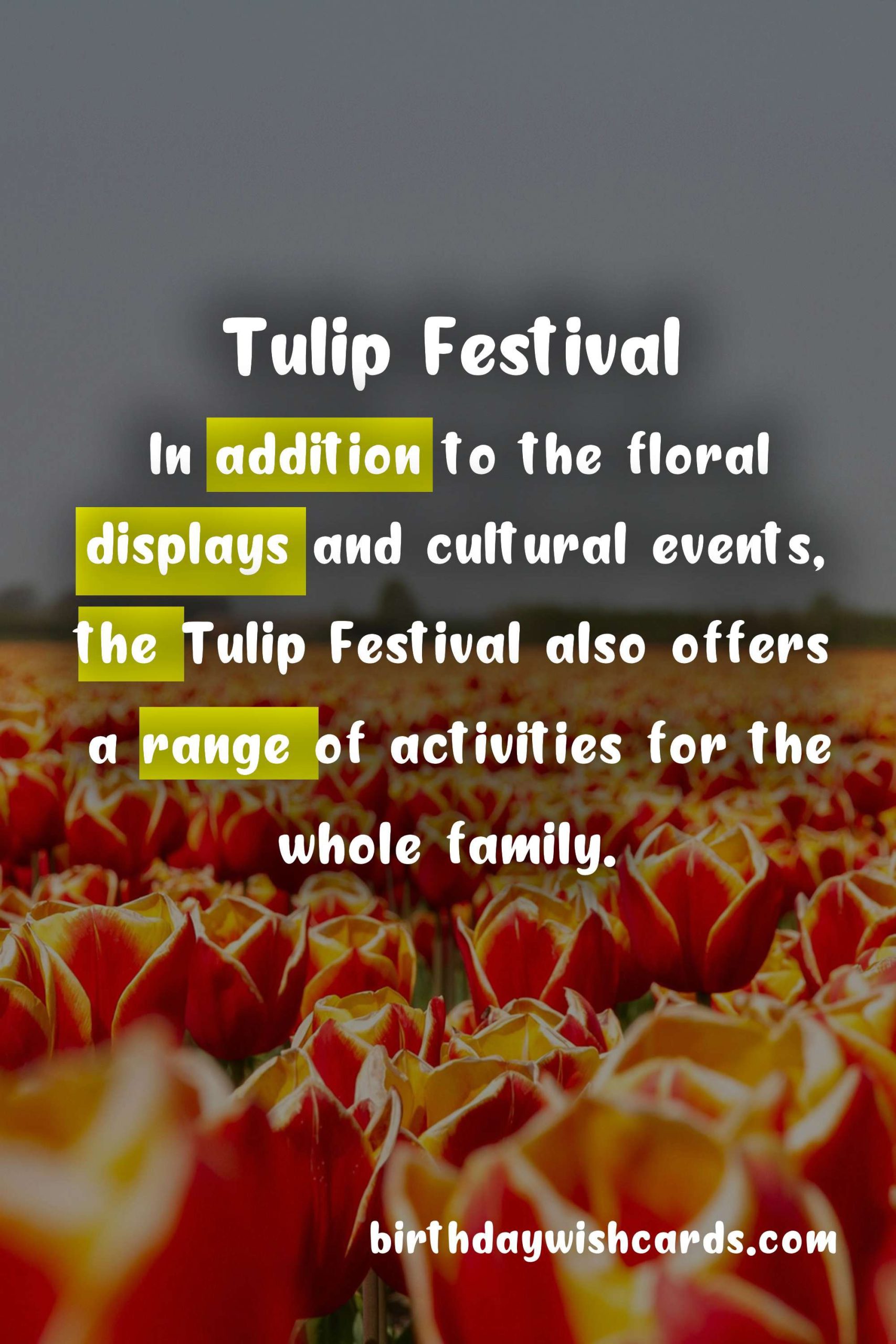 Experience The Magic of Tulips at The Tulip Festival This April