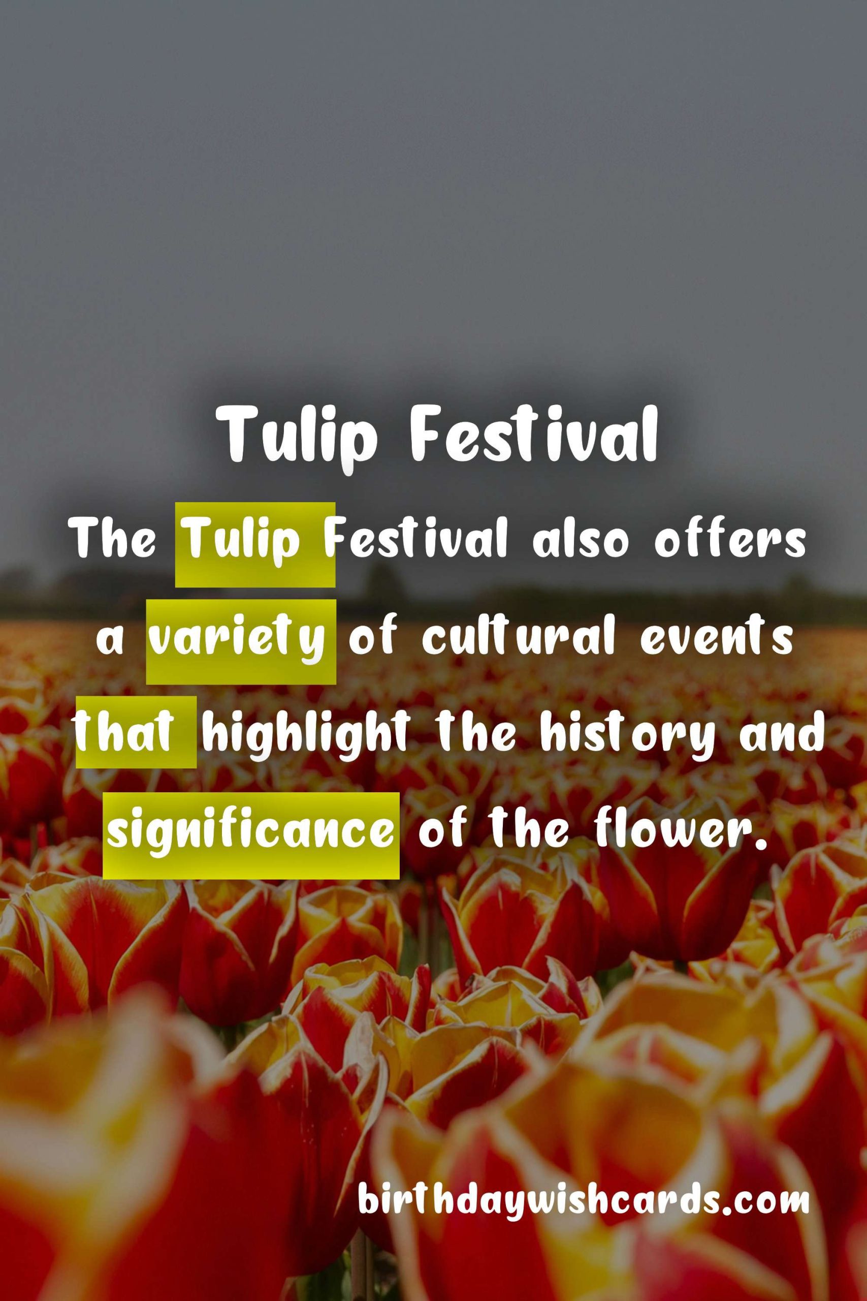 Experience The Magic of Tulips at The Tulip Festival This April