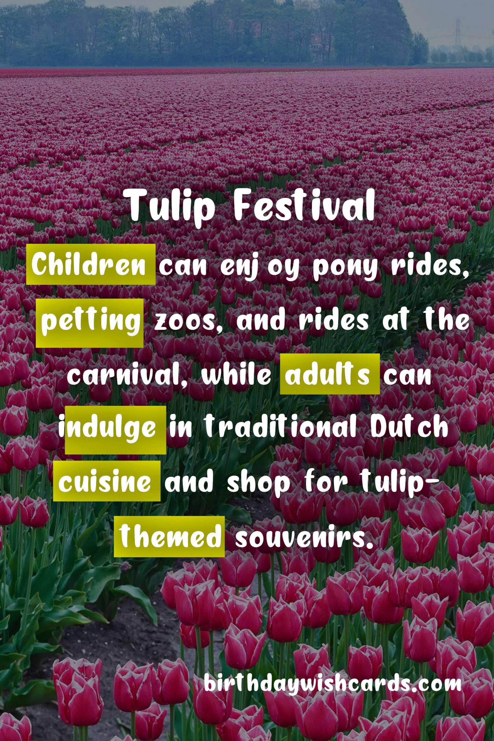 Experience The Magic of Tulips at The Tulip Festival This April