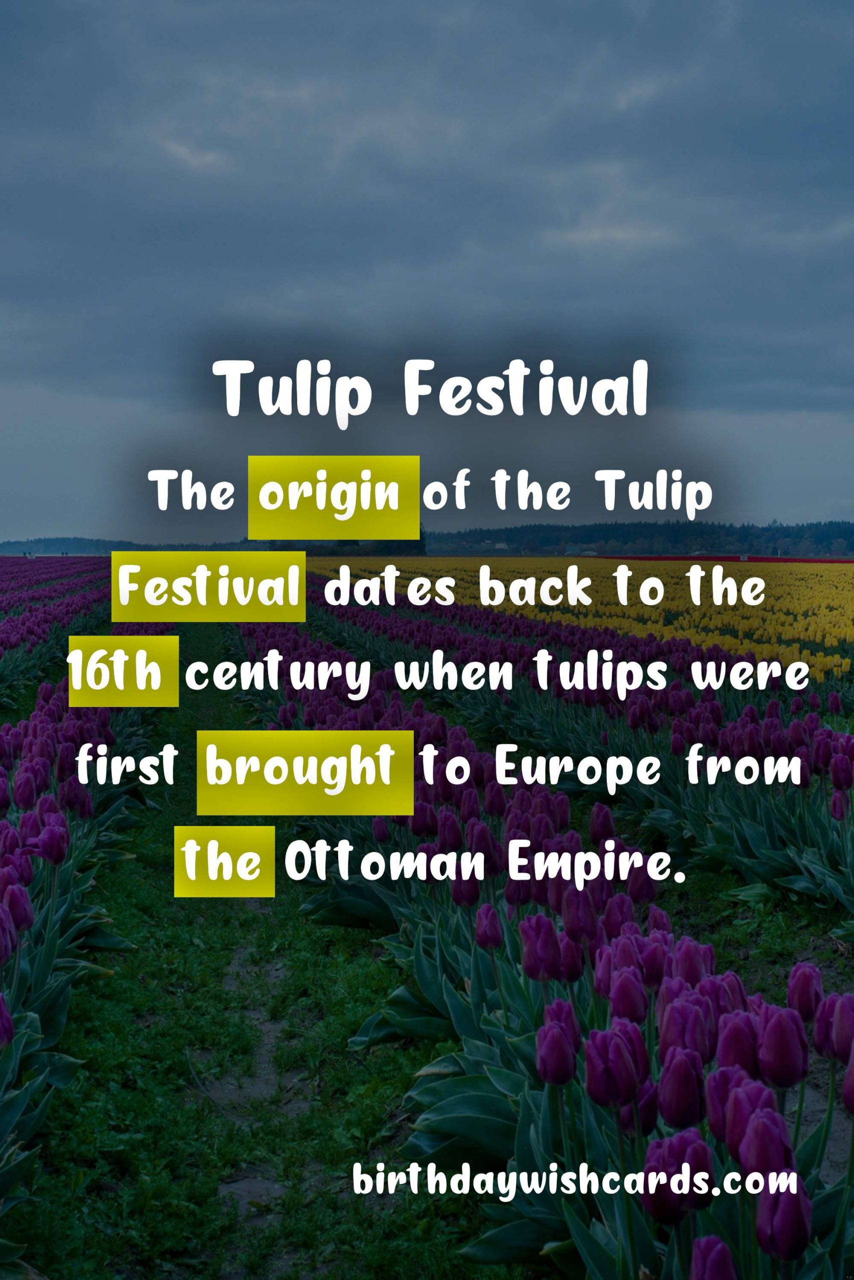 Experience The Magic of Tulips at The Tulip Festival This April