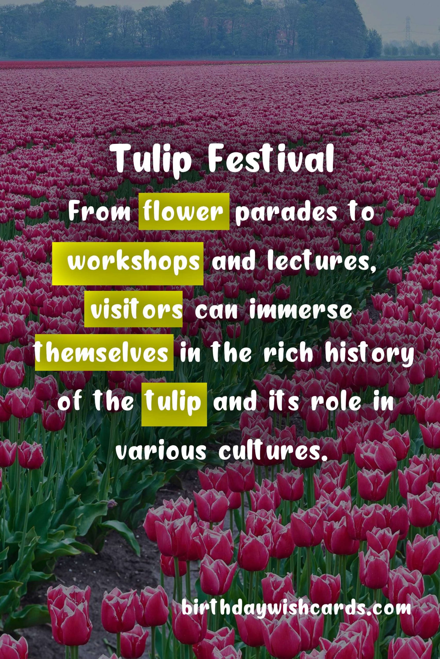 Experience The Magic of Tulips at The Tulip Festival This April