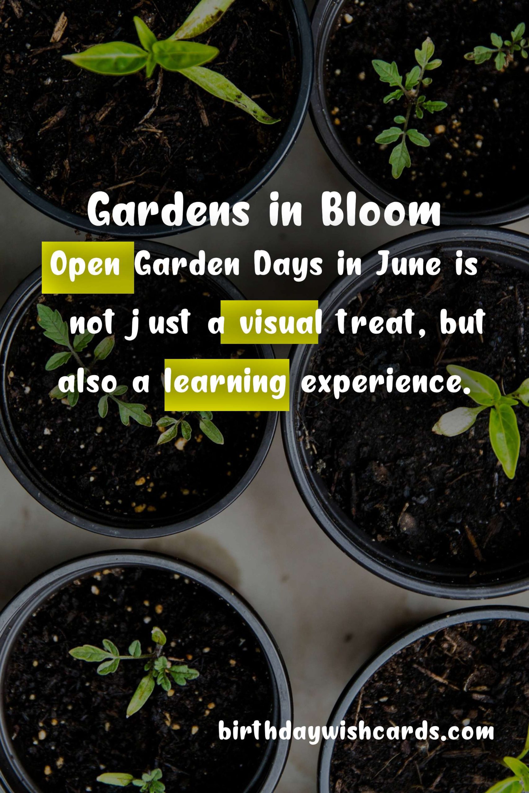 Discover the Beauty of Nature: Open Garden Days in June
