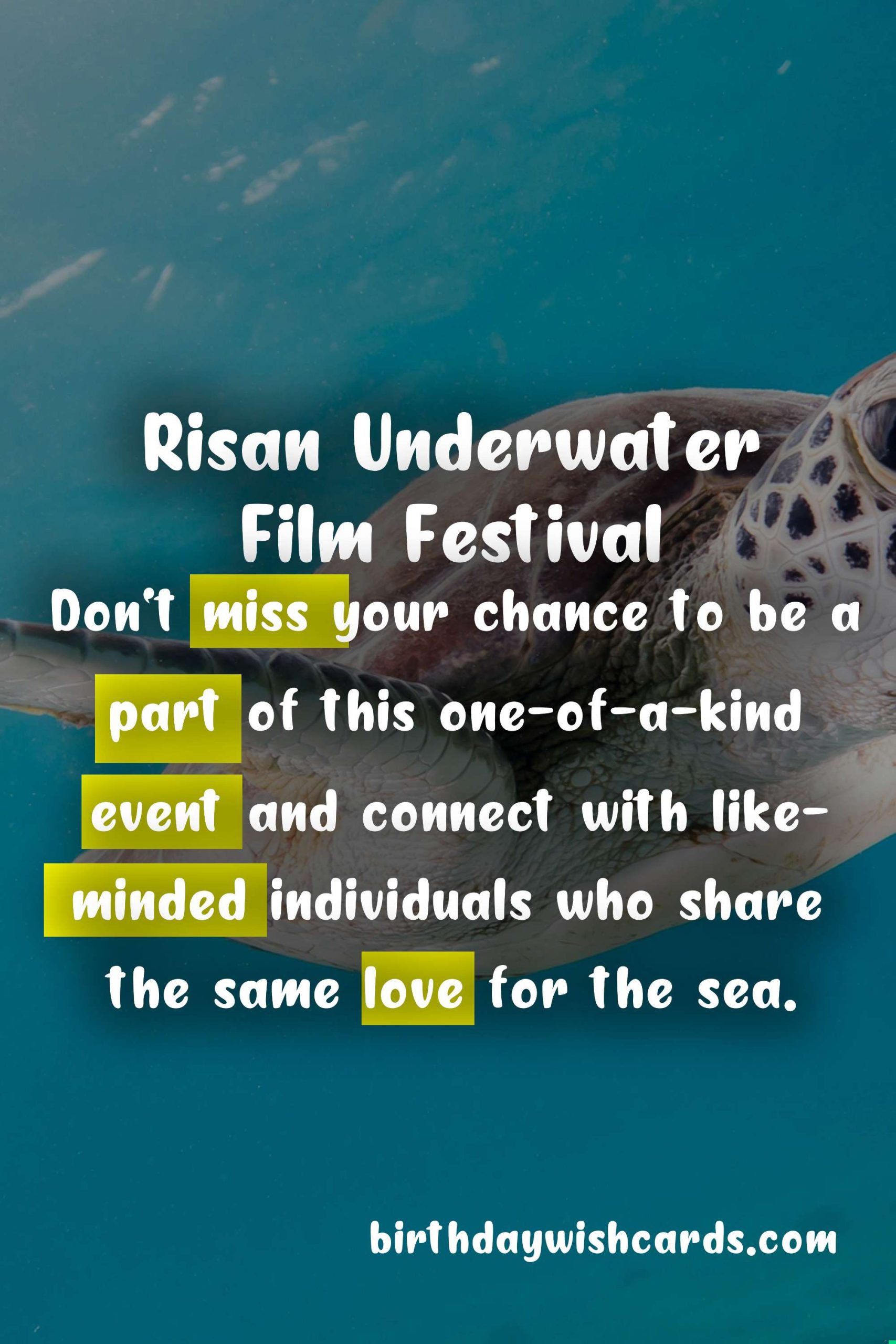Experience the Wonders of the Sea at Risan Underwater Film Festival - September 28-October 2, 2021