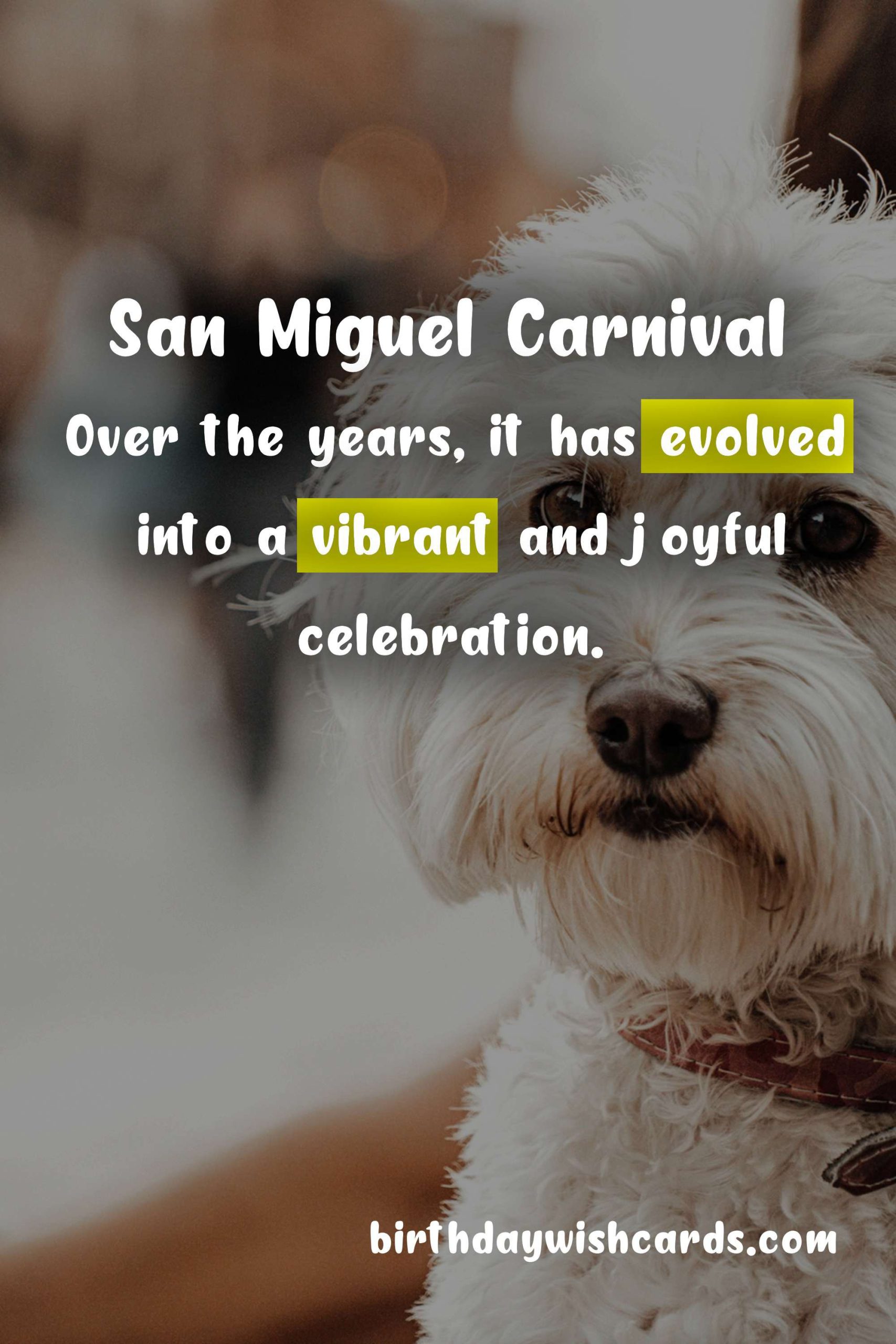 Celebrate the Festivities: Experience the Thrills of San Miguel Carnival (November)