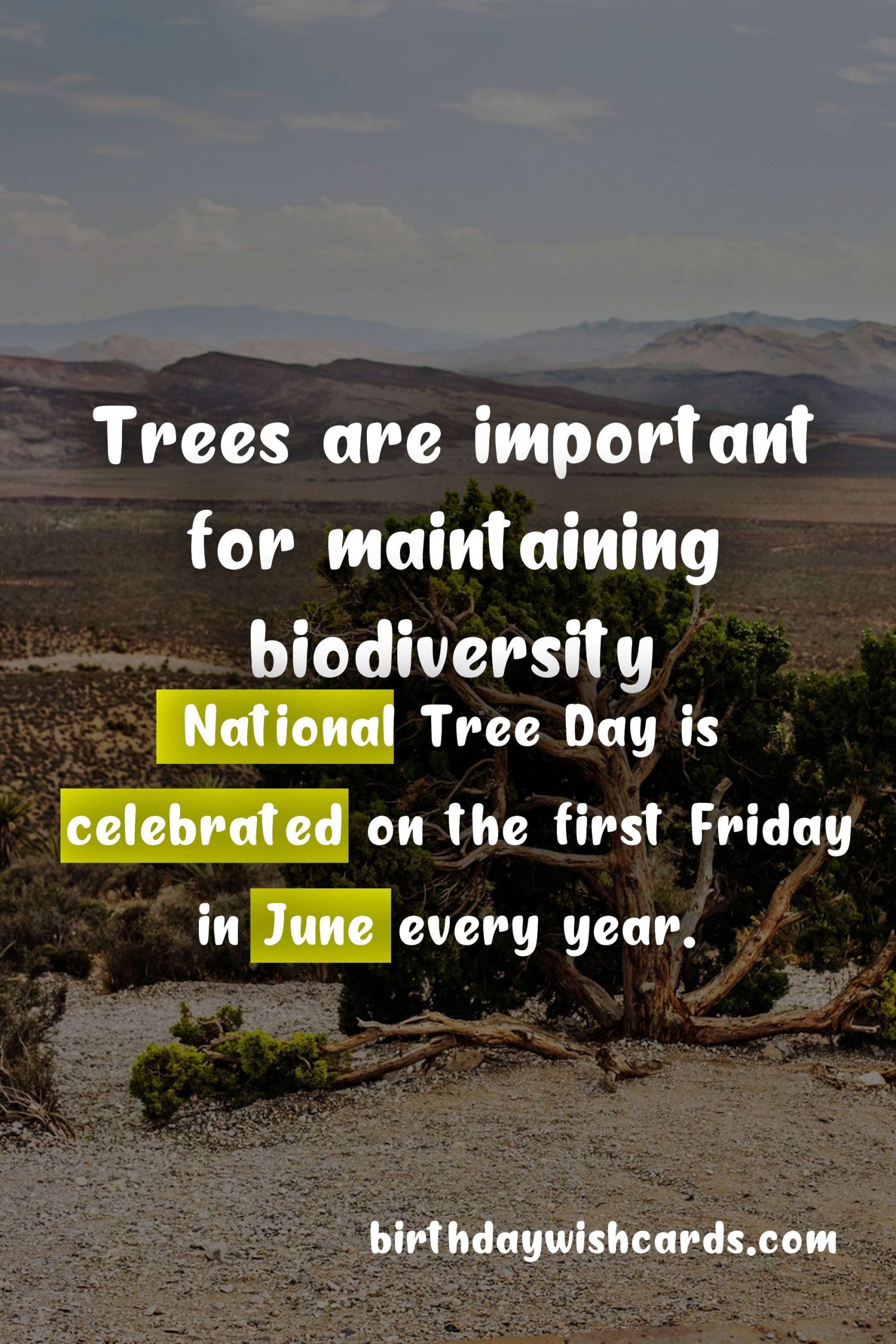 National Tree Day: June 6