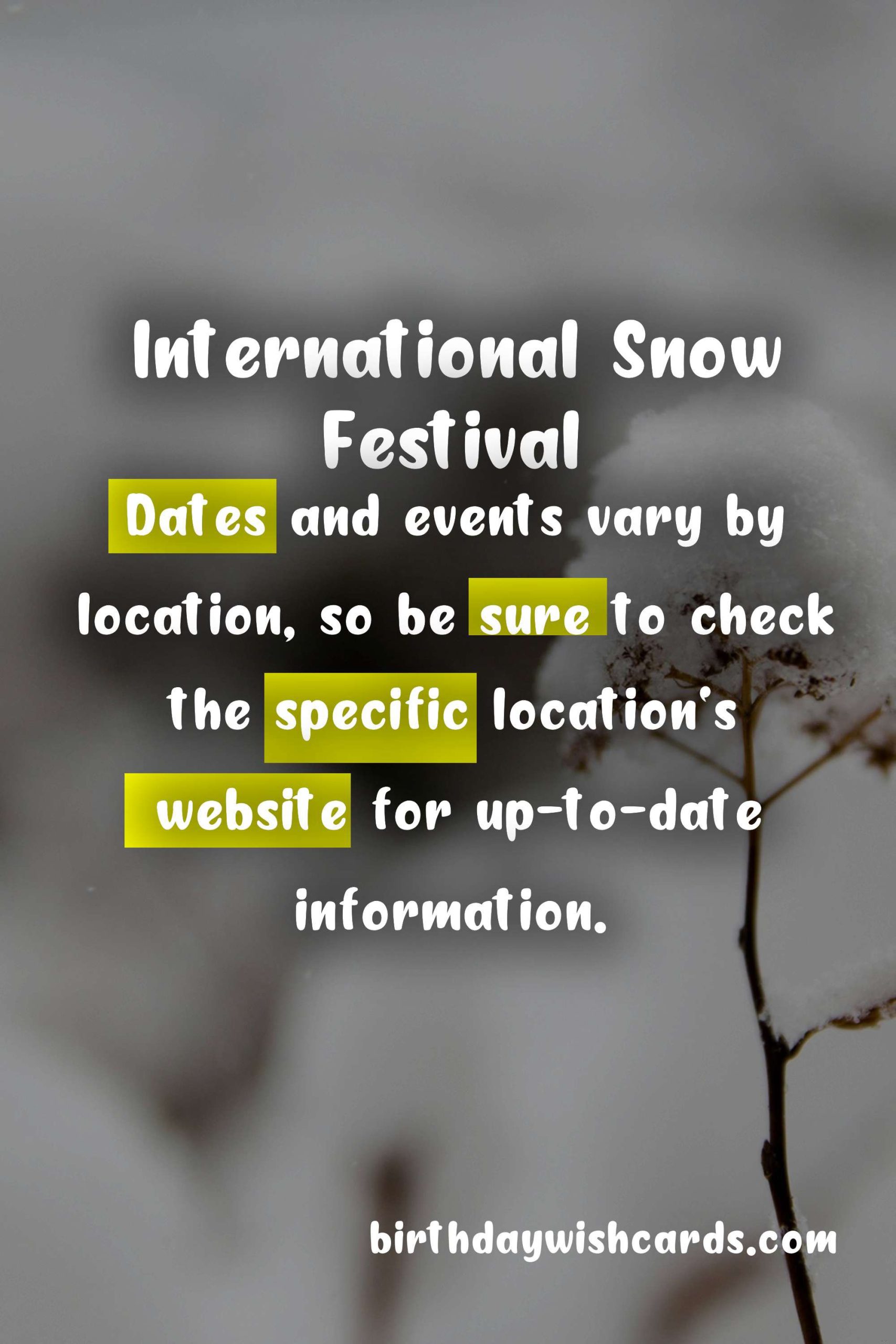 Experience an Unforgettable Winter at the International Snow Festival in January