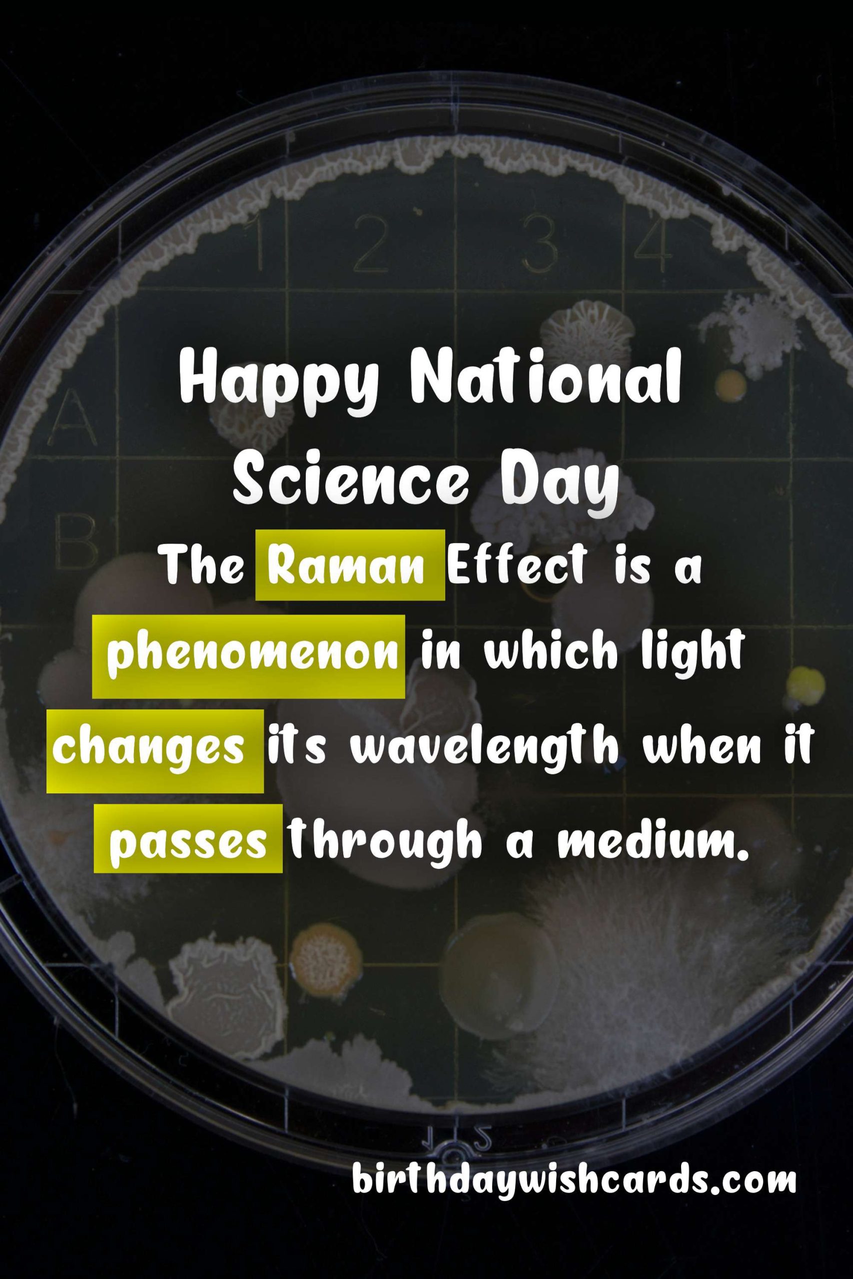 National Science Day - January 24th