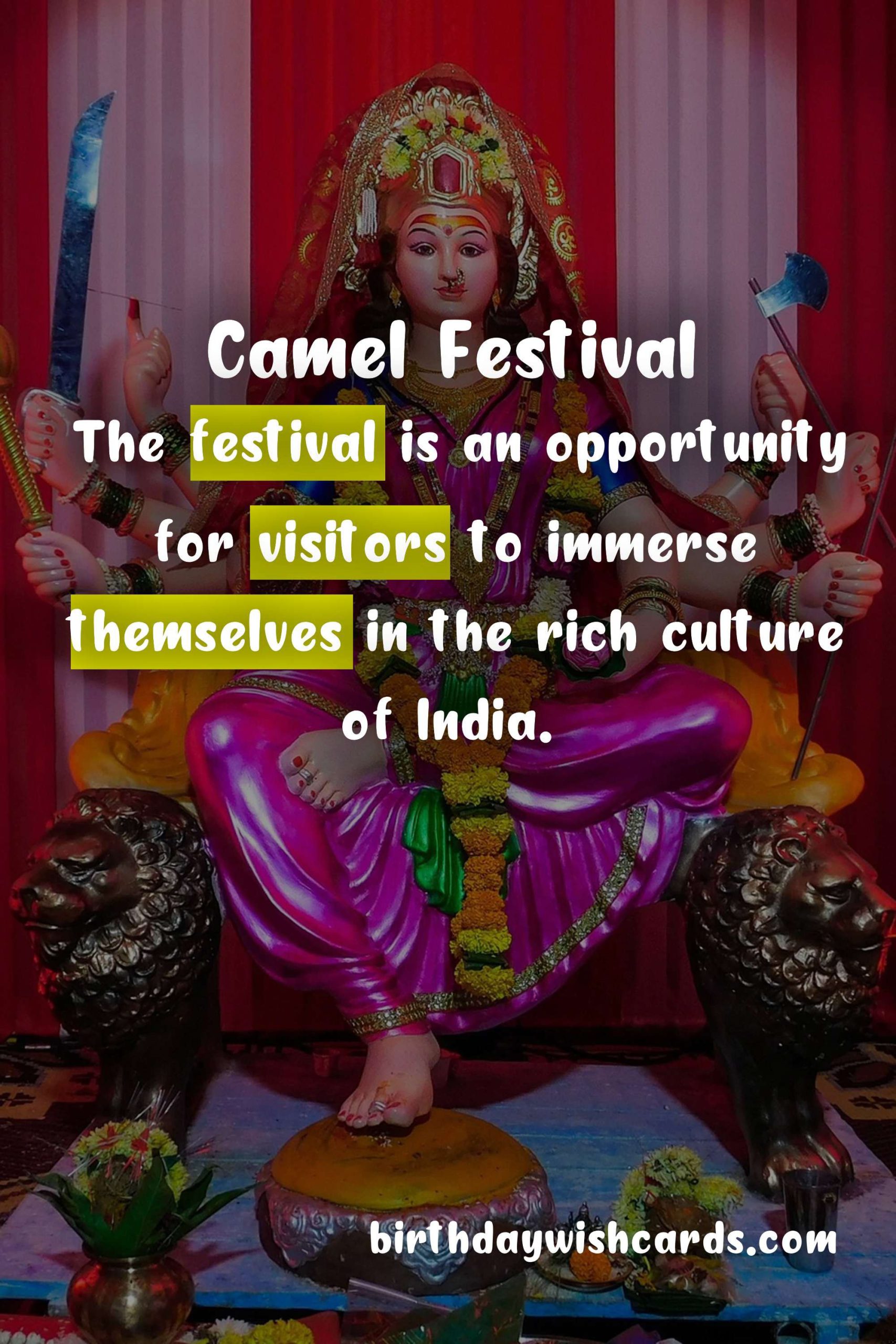 Camel Festival: February