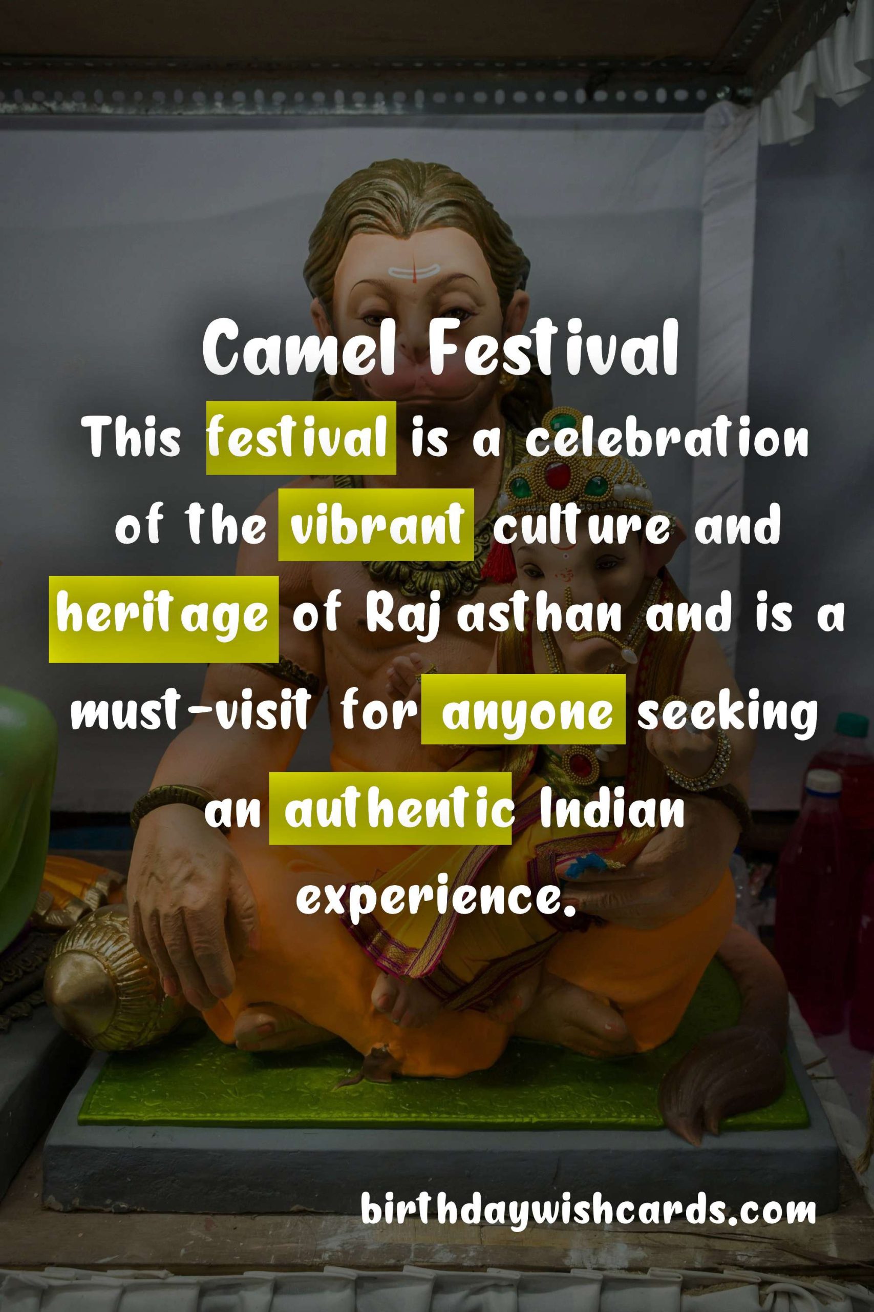 Camel Festival: February