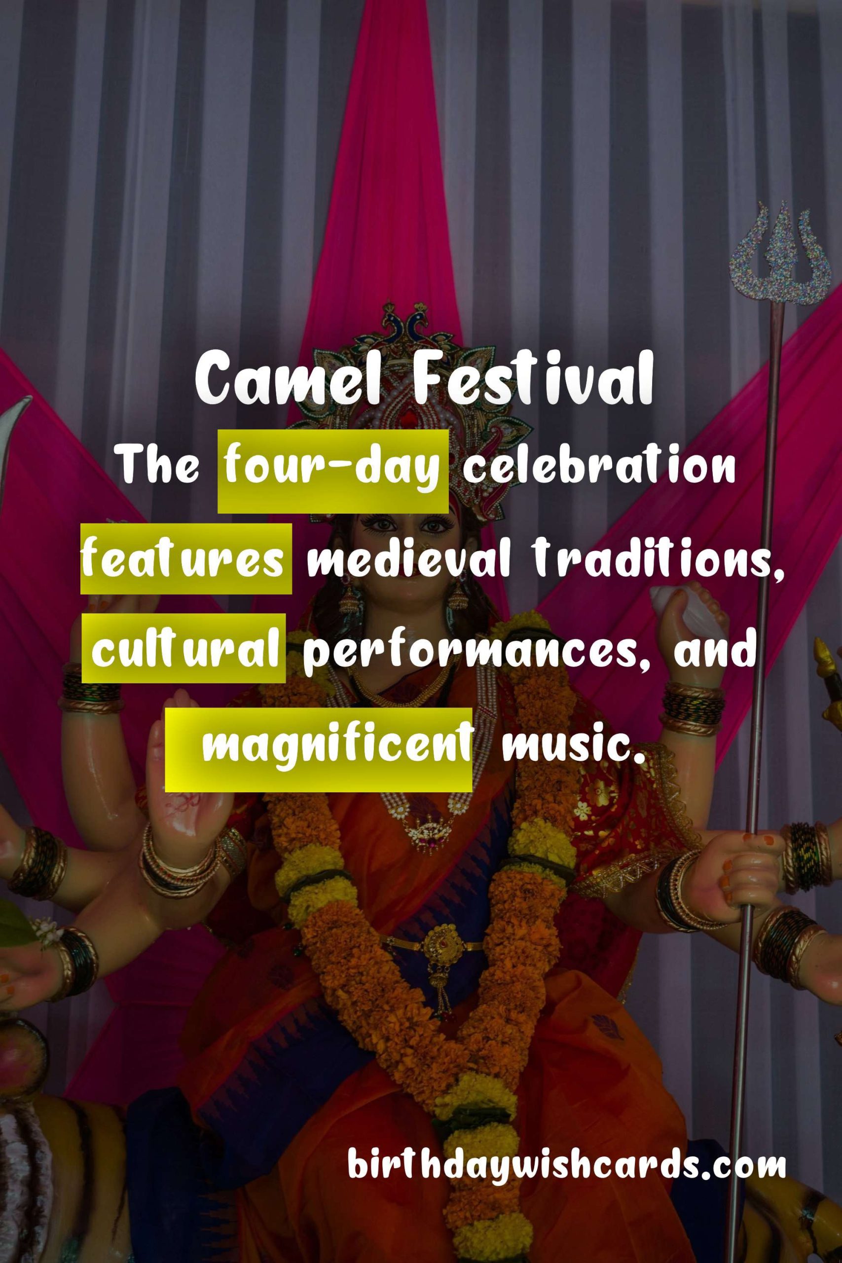 Camel Festival: February