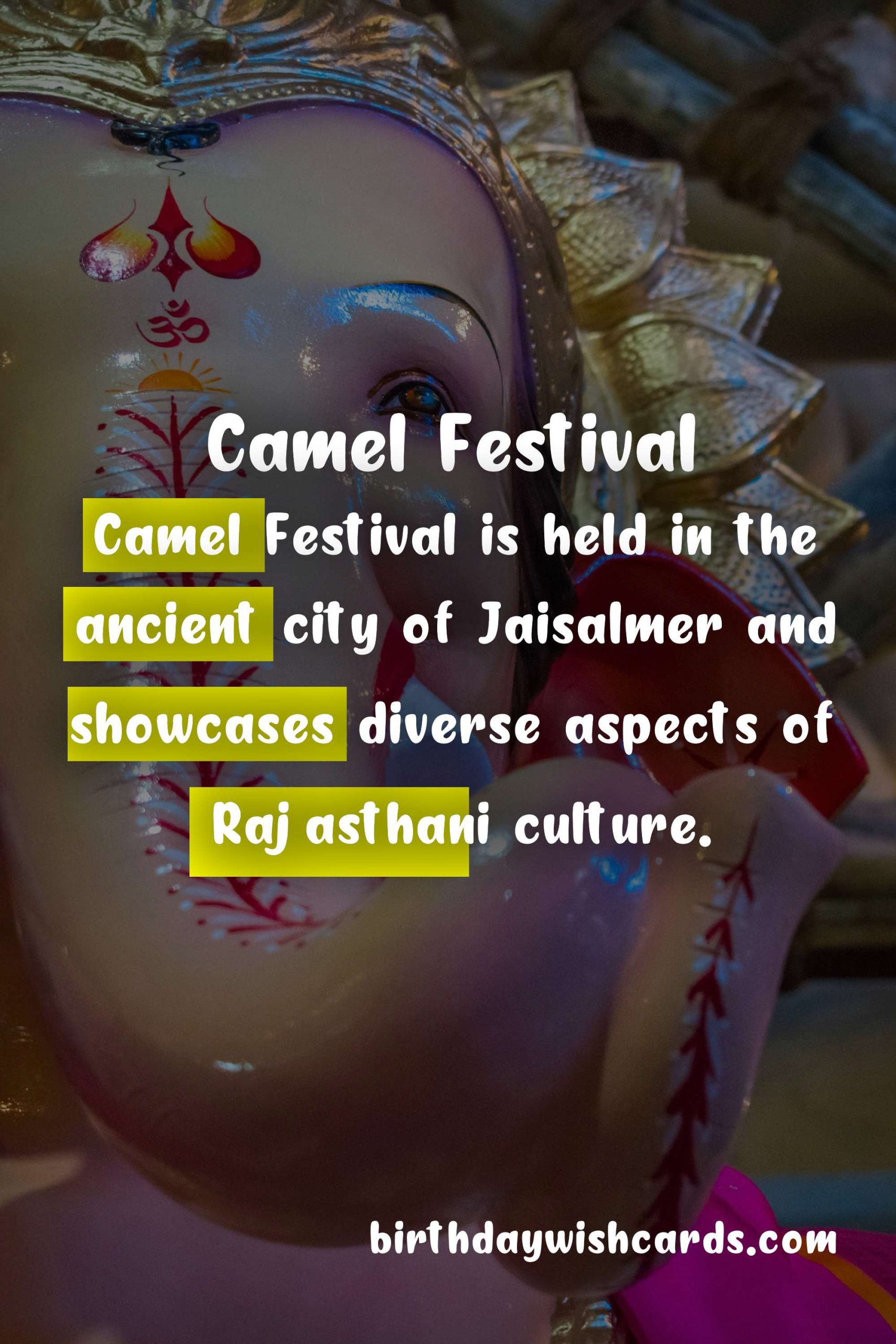 Camel Festival: February