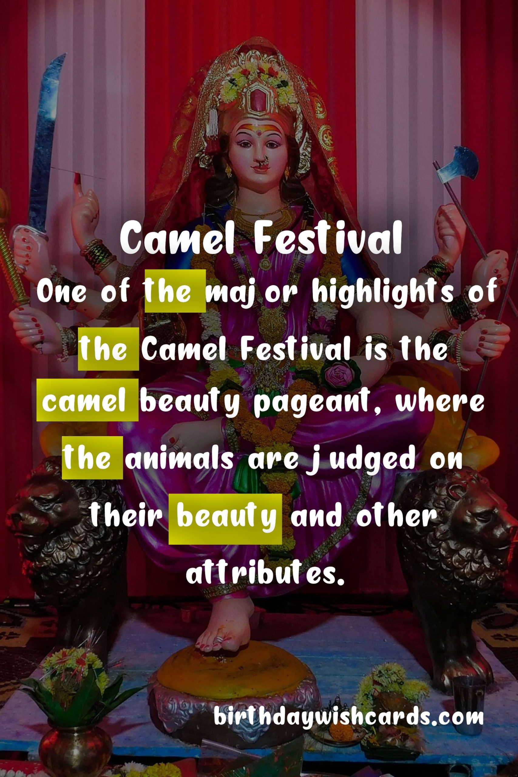 Camel Festival: February