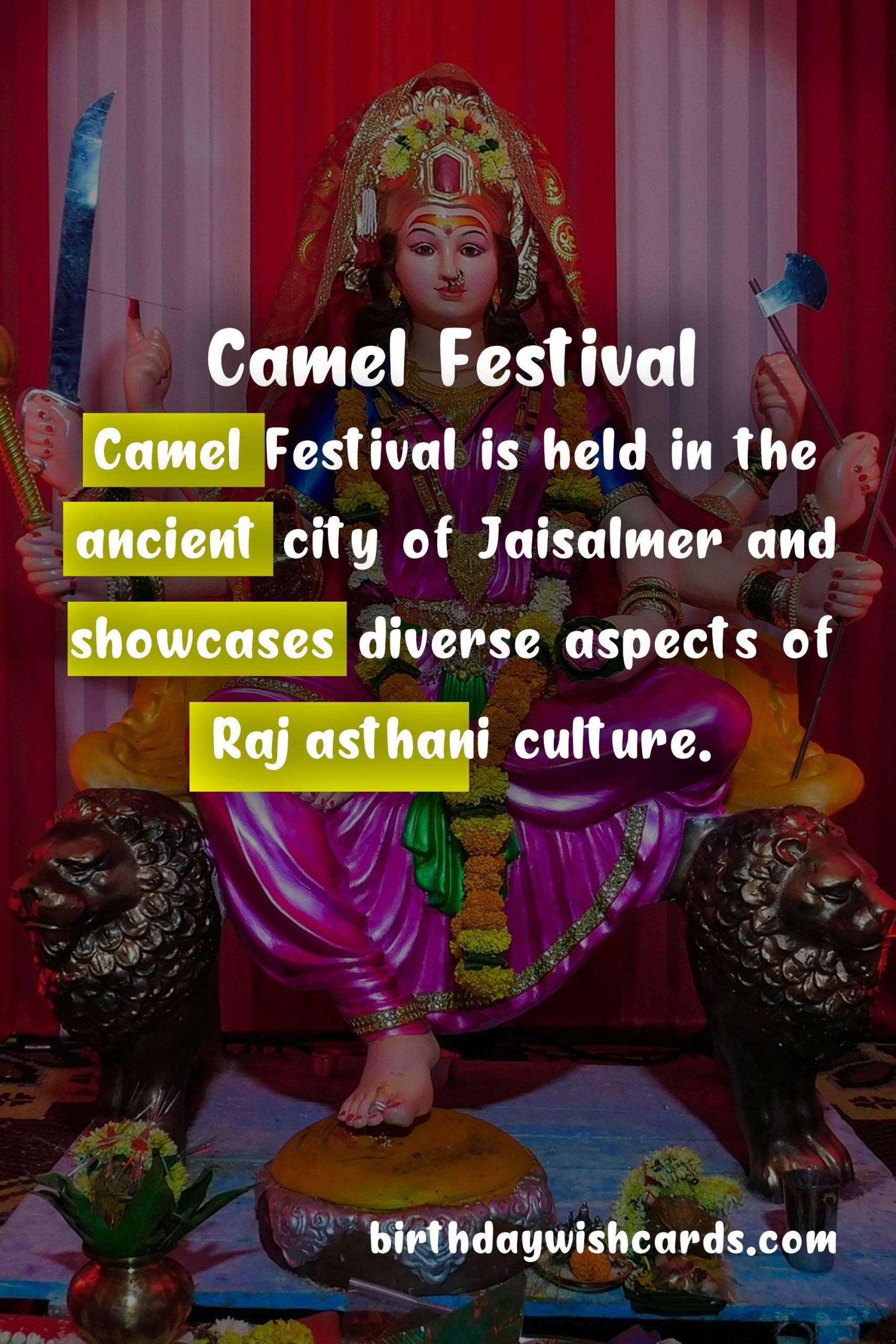 Camel Festival: February