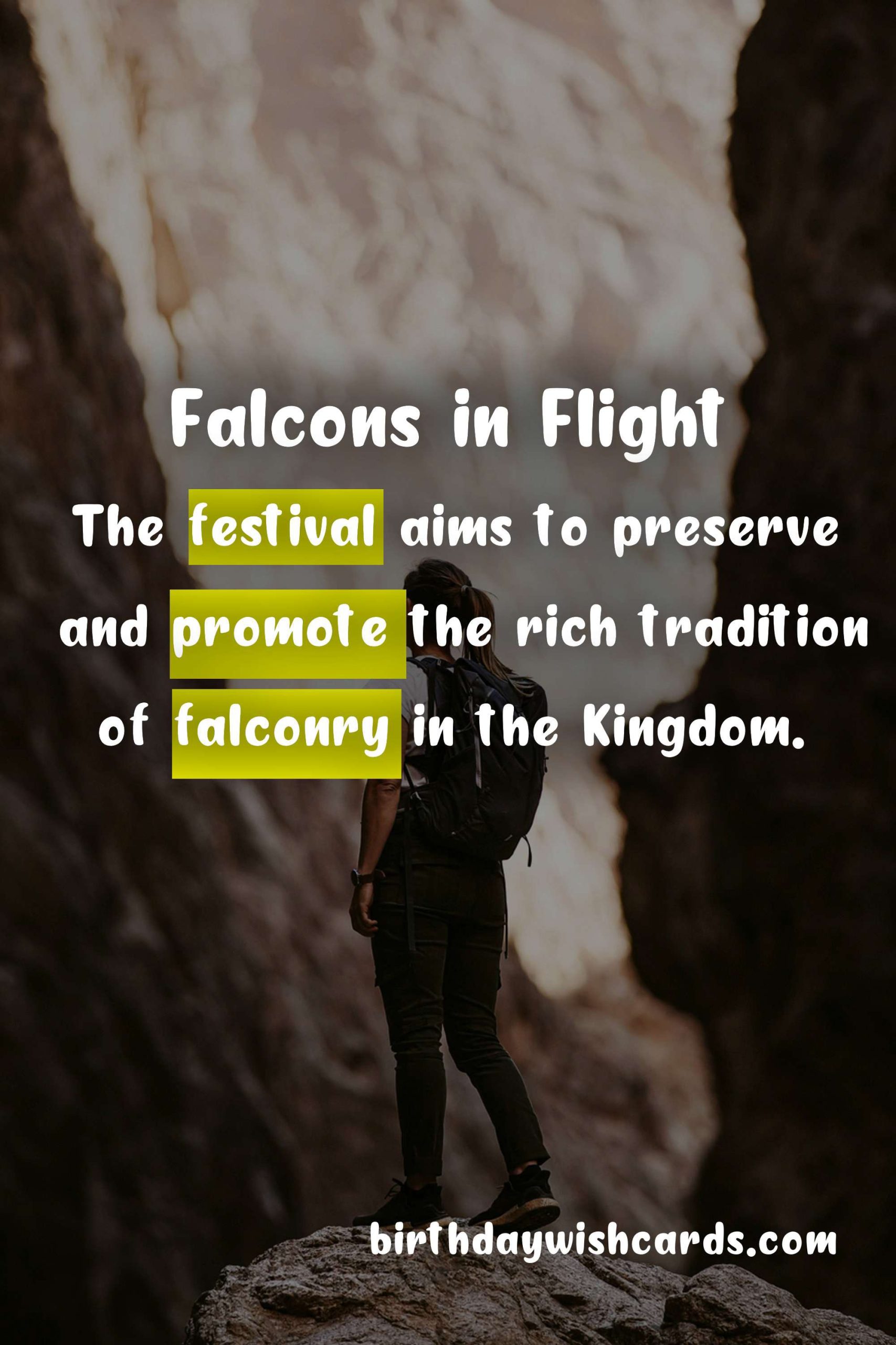 King Abdulaziz Falconry Festival: January