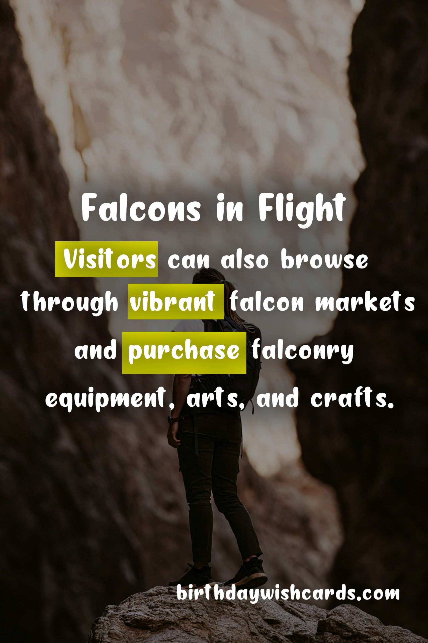 King Abdulaziz Falconry Festival: January