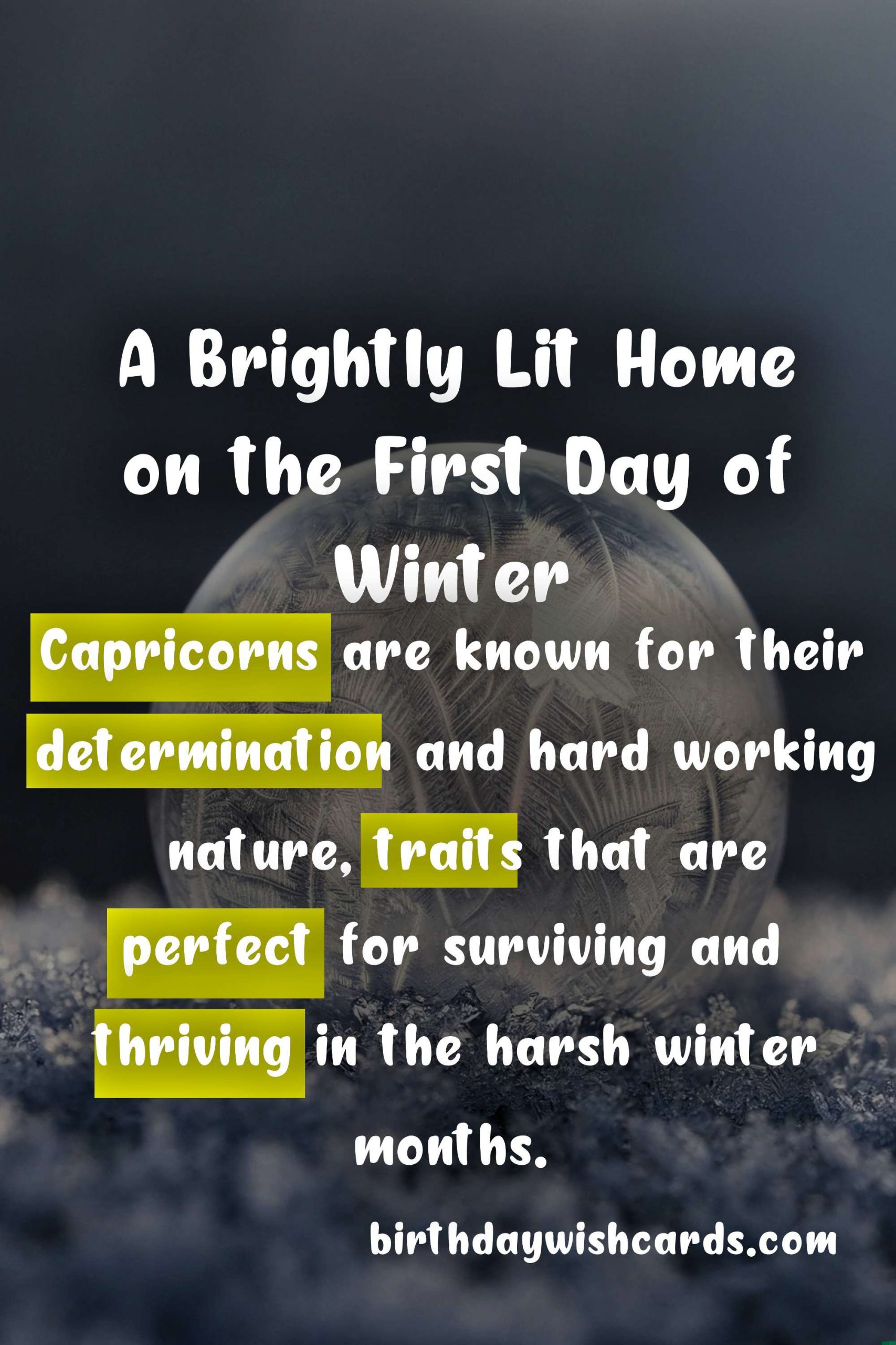 Celebrate the First Day of Winter
