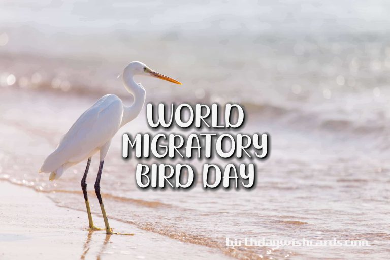 09-Oct World Migratory Bird Day: