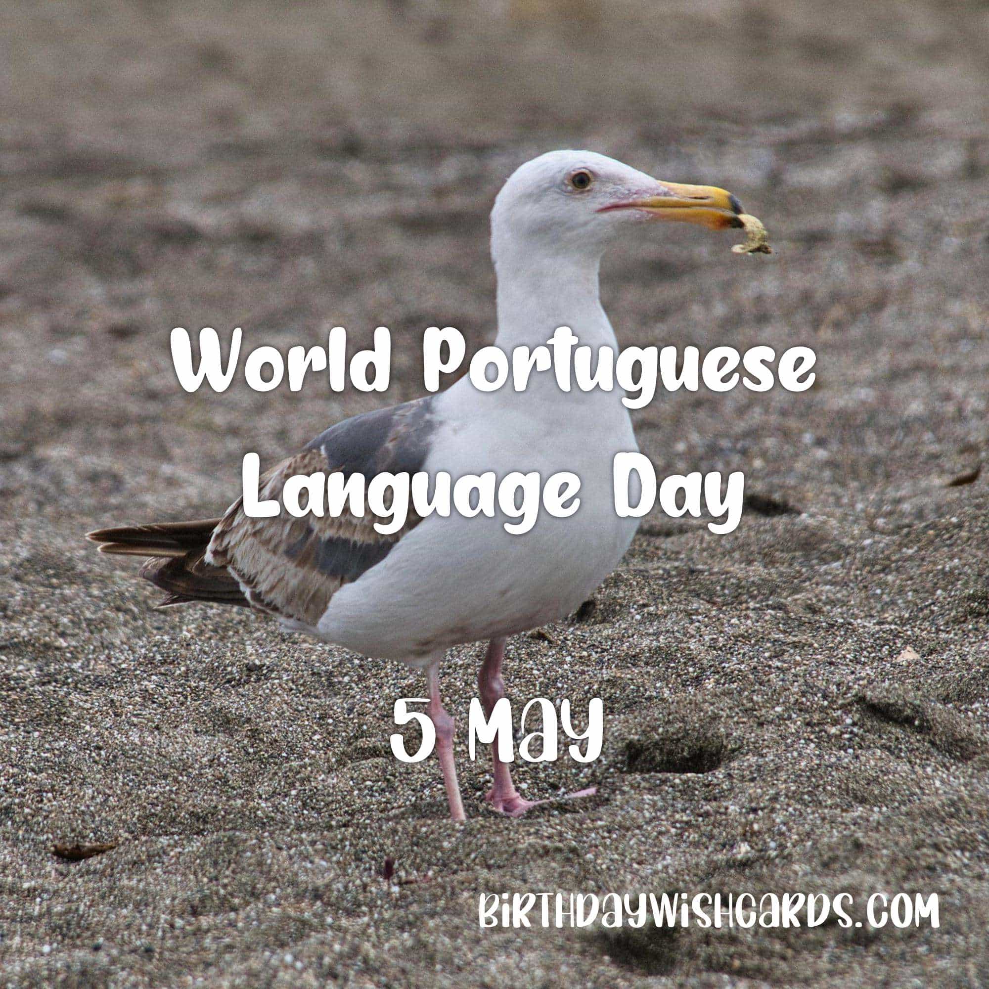 Birthday Wish Cards | 5-May World Portuguese Language Day: